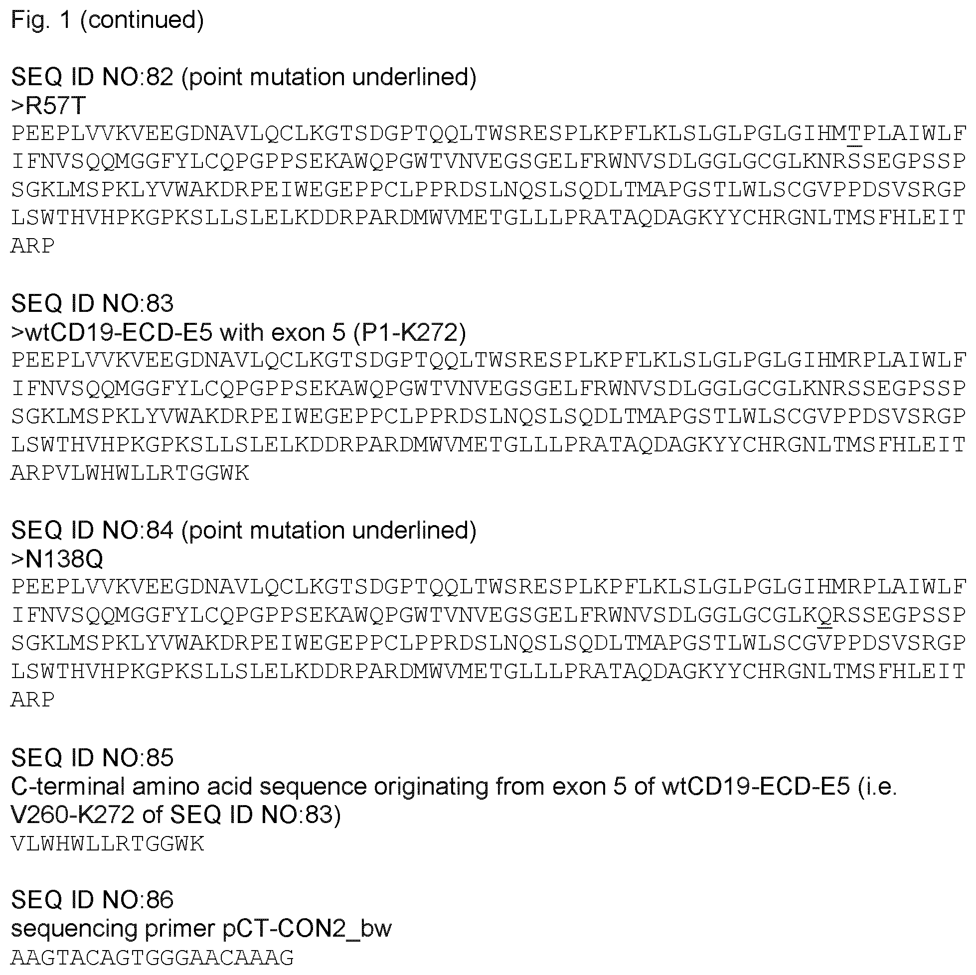 Patent US12590135 Figure 13 – Stabilized extracellular domain of CD19