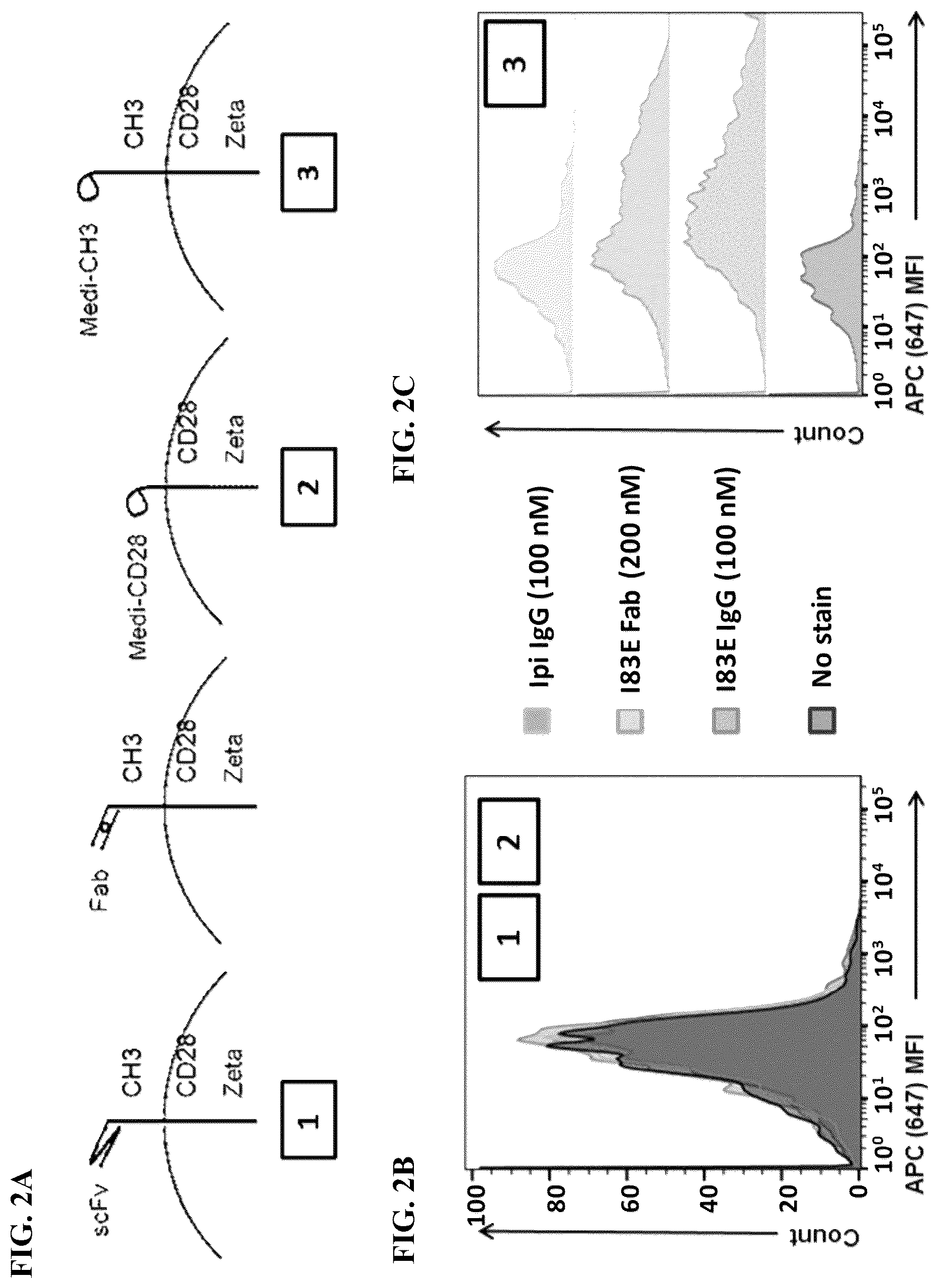 Patent US12590137 Figure 4 – Meditope-enabled T cells