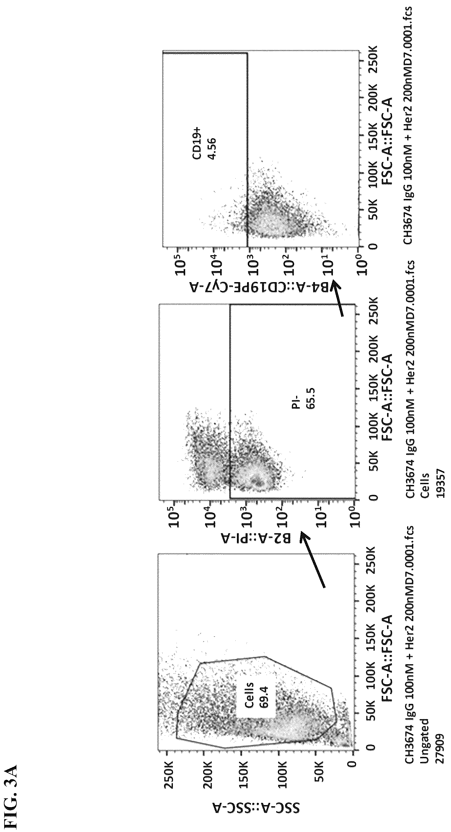 Patent US12590137 Figure 5 – Meditope-enabled T cells