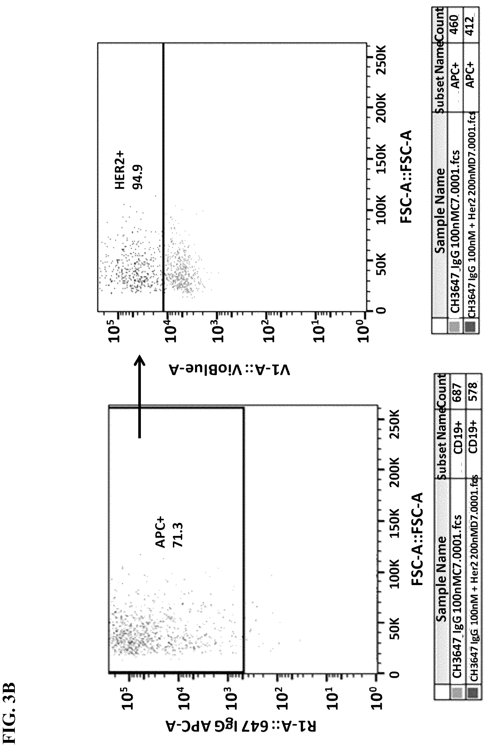 Patent US12590137 Figure 6 – Meditope-enabled T cells