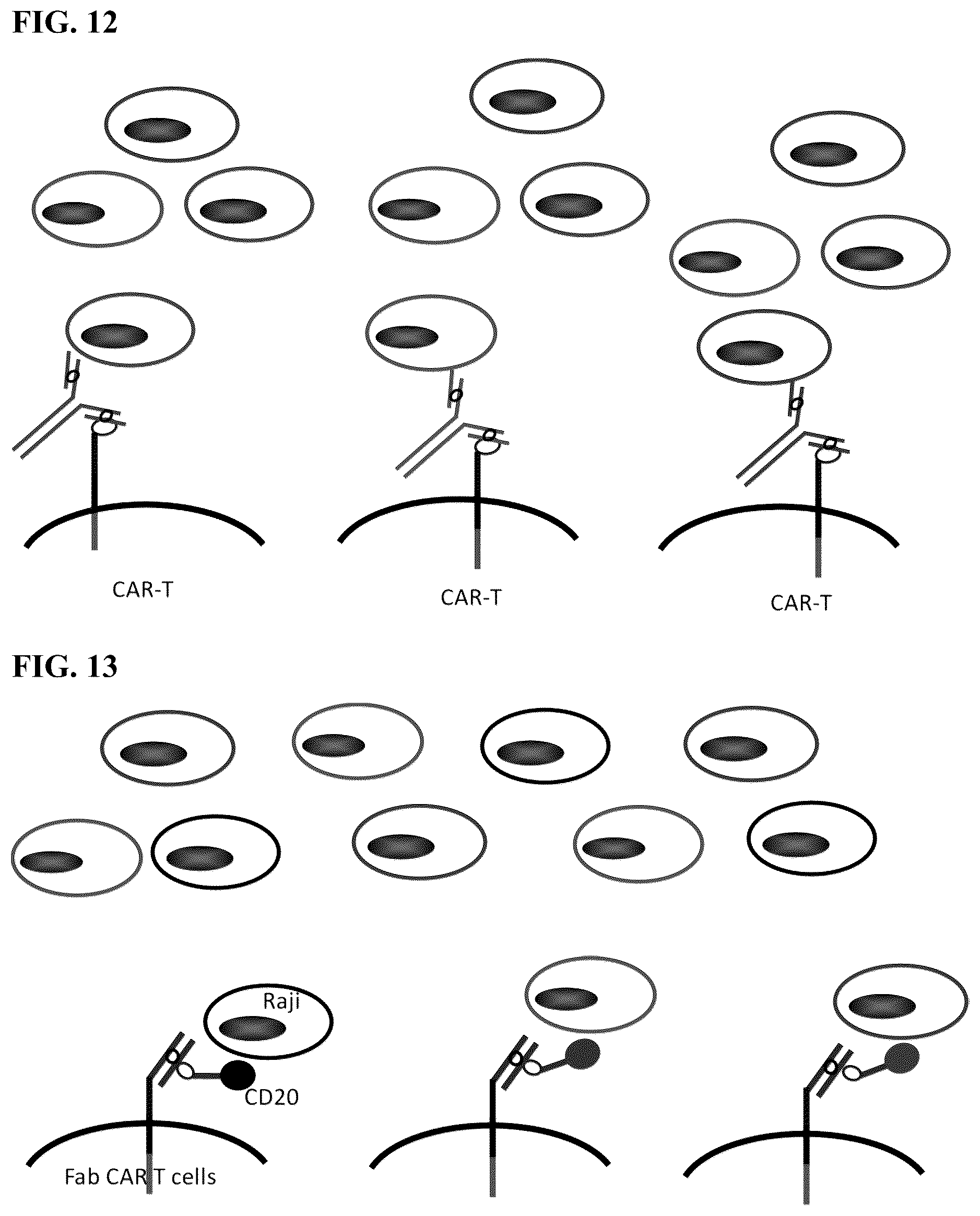 Patent US12590137 Figure 17 – Meditope-enabled T cells