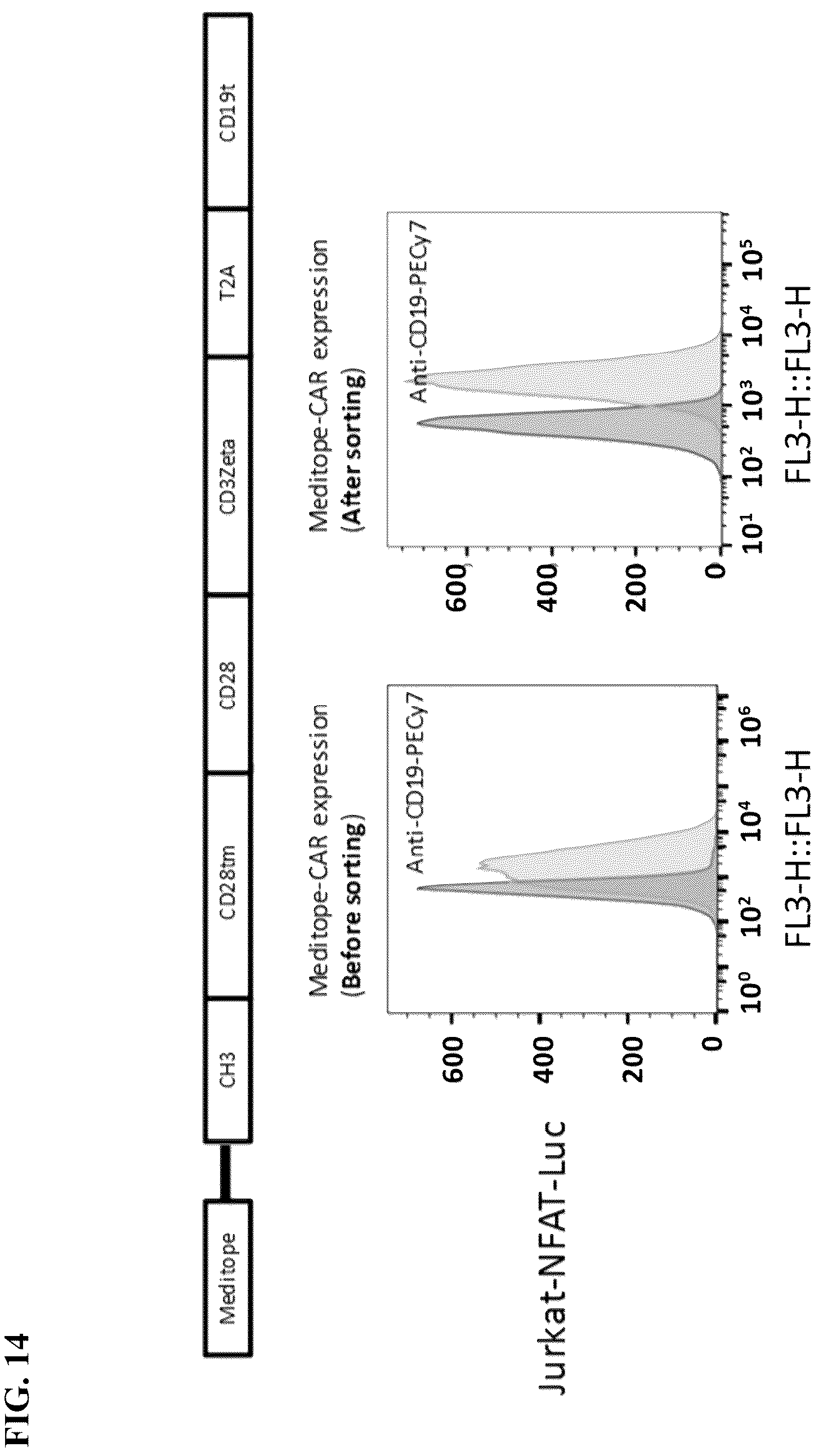 Patent US12590137 Figure 18 – Meditope-enabled T cells
