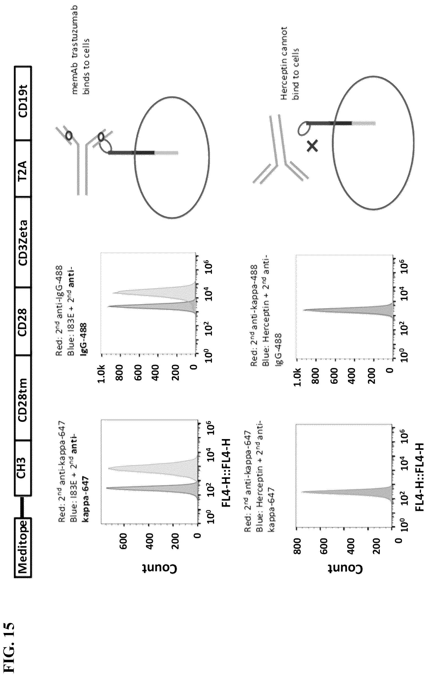 Patent US12590137 Figure 19 – Meditope-enabled T cells