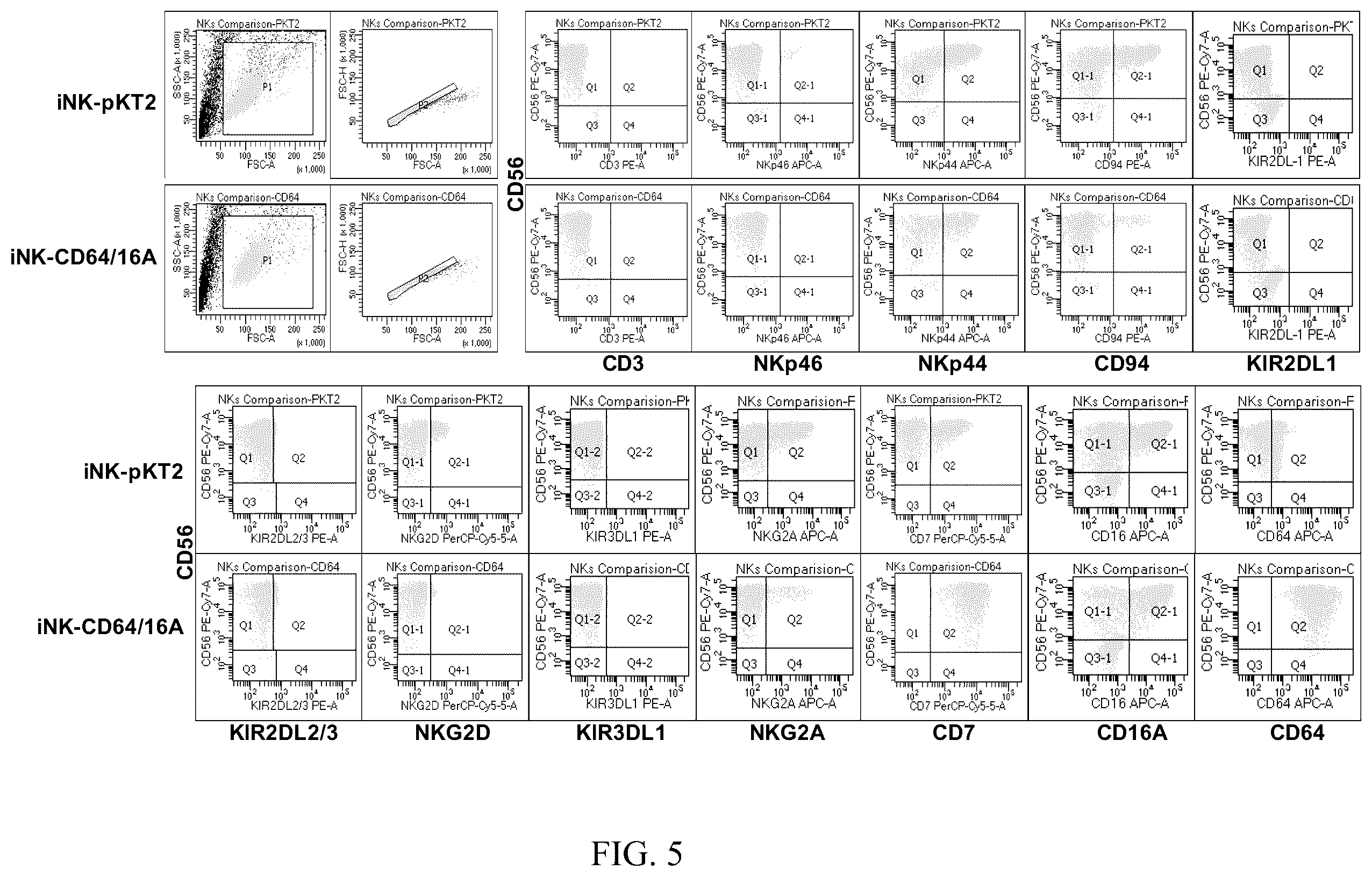 Patent US12590138 Figure 5 – Treatments administering chimeric IgG Fc receptor comprising an extracellular domain of CD64