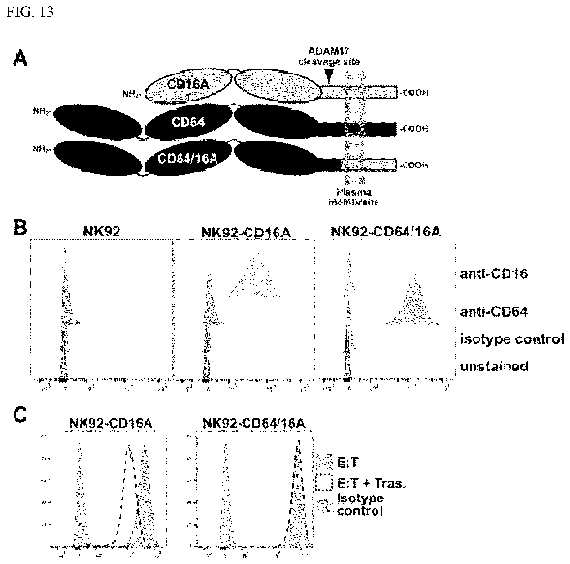 Patent US12590138 Figure 13 – Treatments administering chimeric IgG Fc receptor comprising an extracellular domain of CD64