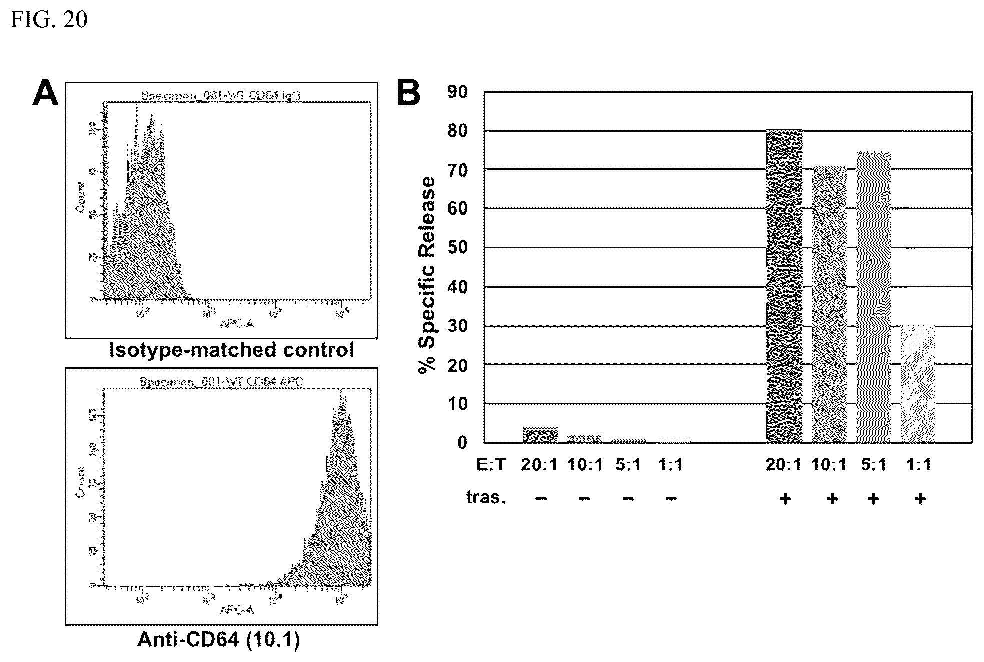 Patent US12590138 Figure 20 – Treatments administering chimeric IgG Fc receptor comprising an extracellular domain of CD64