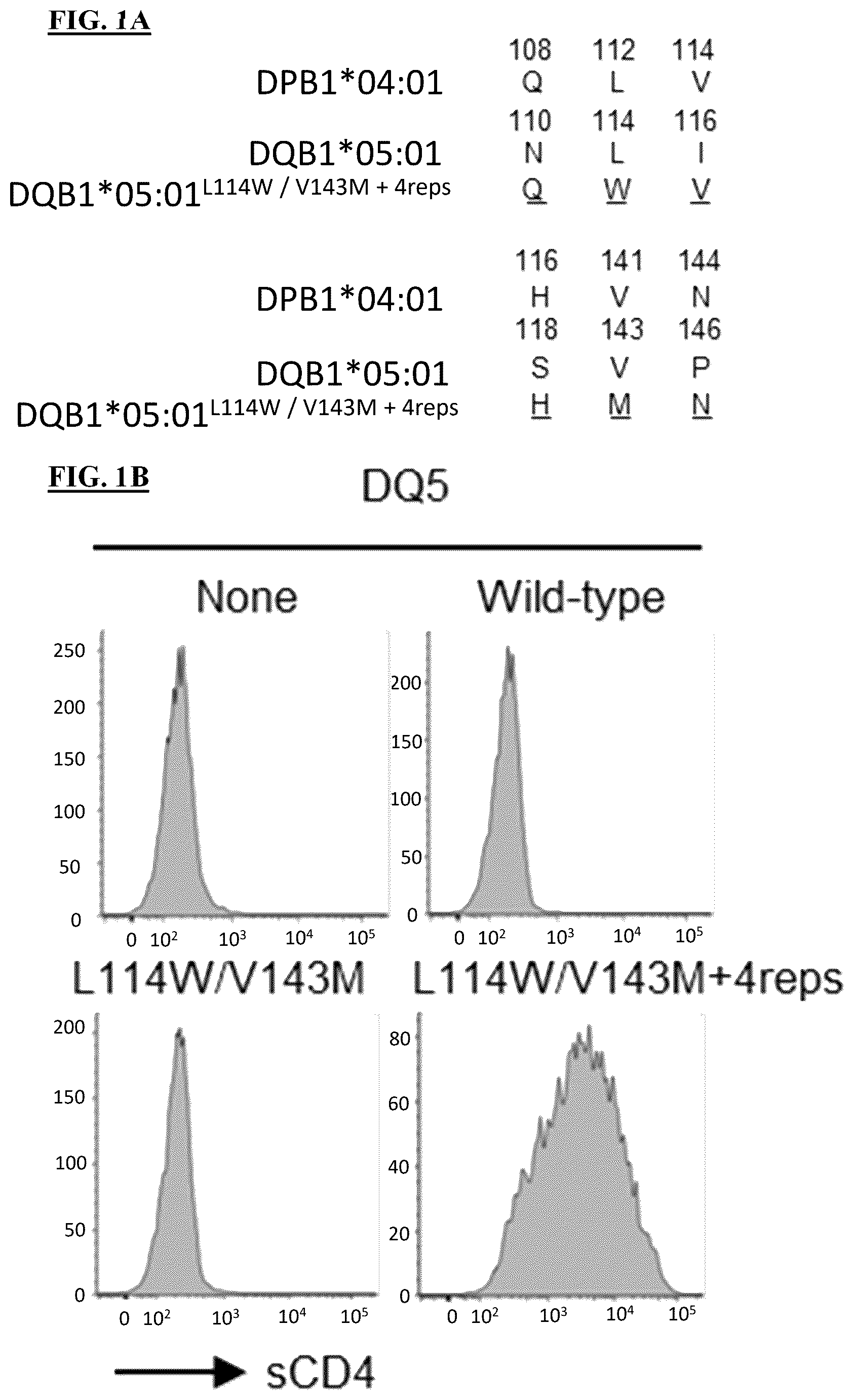 Patent US12590139 Figure 1 – MHC class II molecules and methods of use thereof