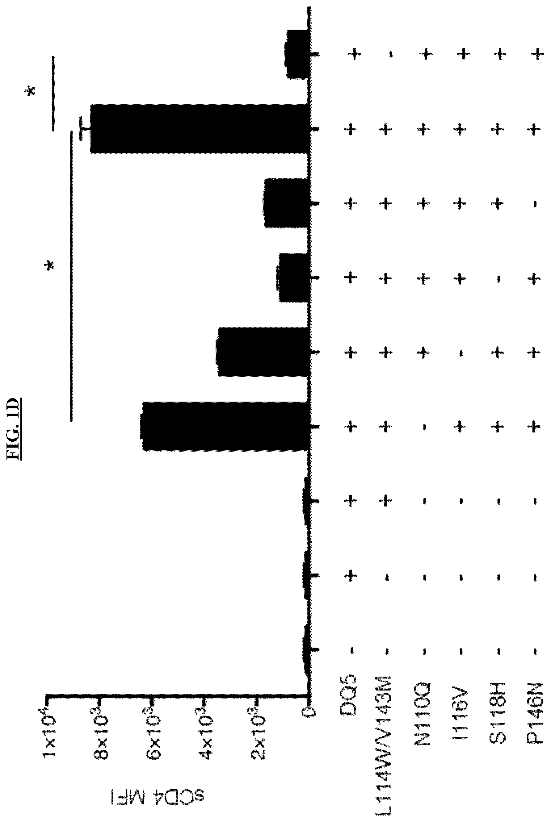 Patent US12590139 Figure 3 – MHC class II molecules and methods of use thereof