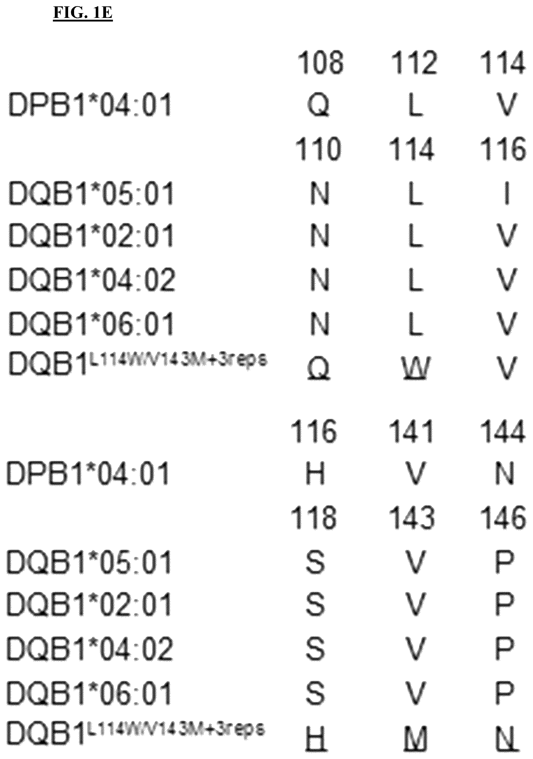 Patent US12590139 Figure 4 – MHC class II molecules and methods of use thereof