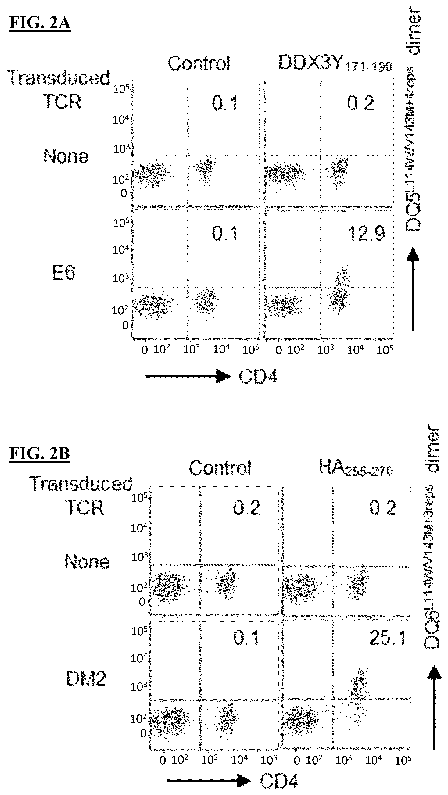 Patent US12590139 Figure 6 – MHC class II molecules and methods of use thereof