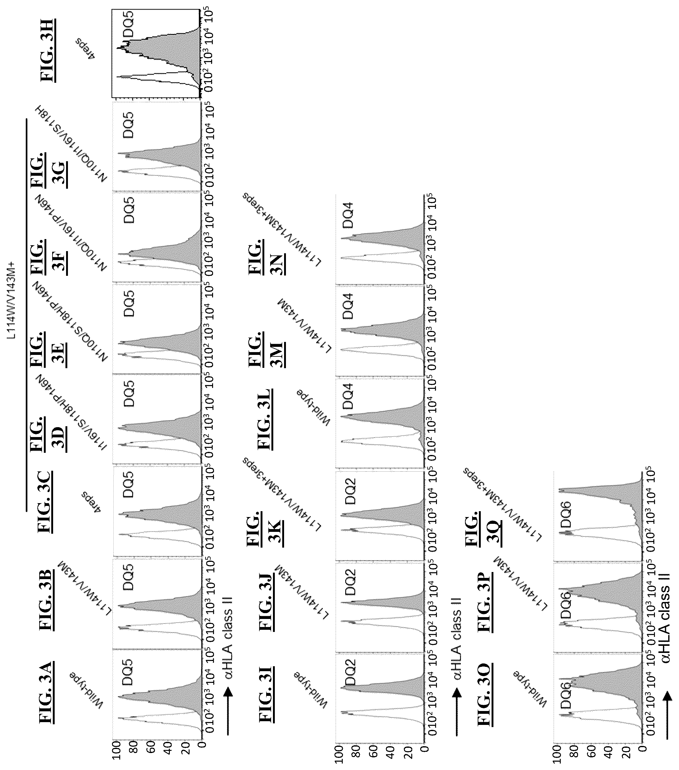 Patent US12590139 Figure 7 – MHC class II molecules and methods of use thereof