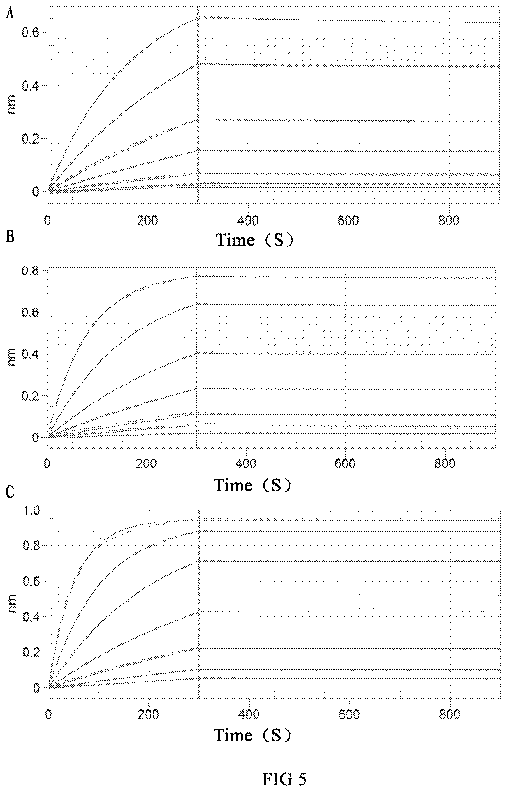 Patent US12590141 Figure 5 – Monoclonal antibodies against Henipavirus glycoprotein G and encoding nucleic acids thereof