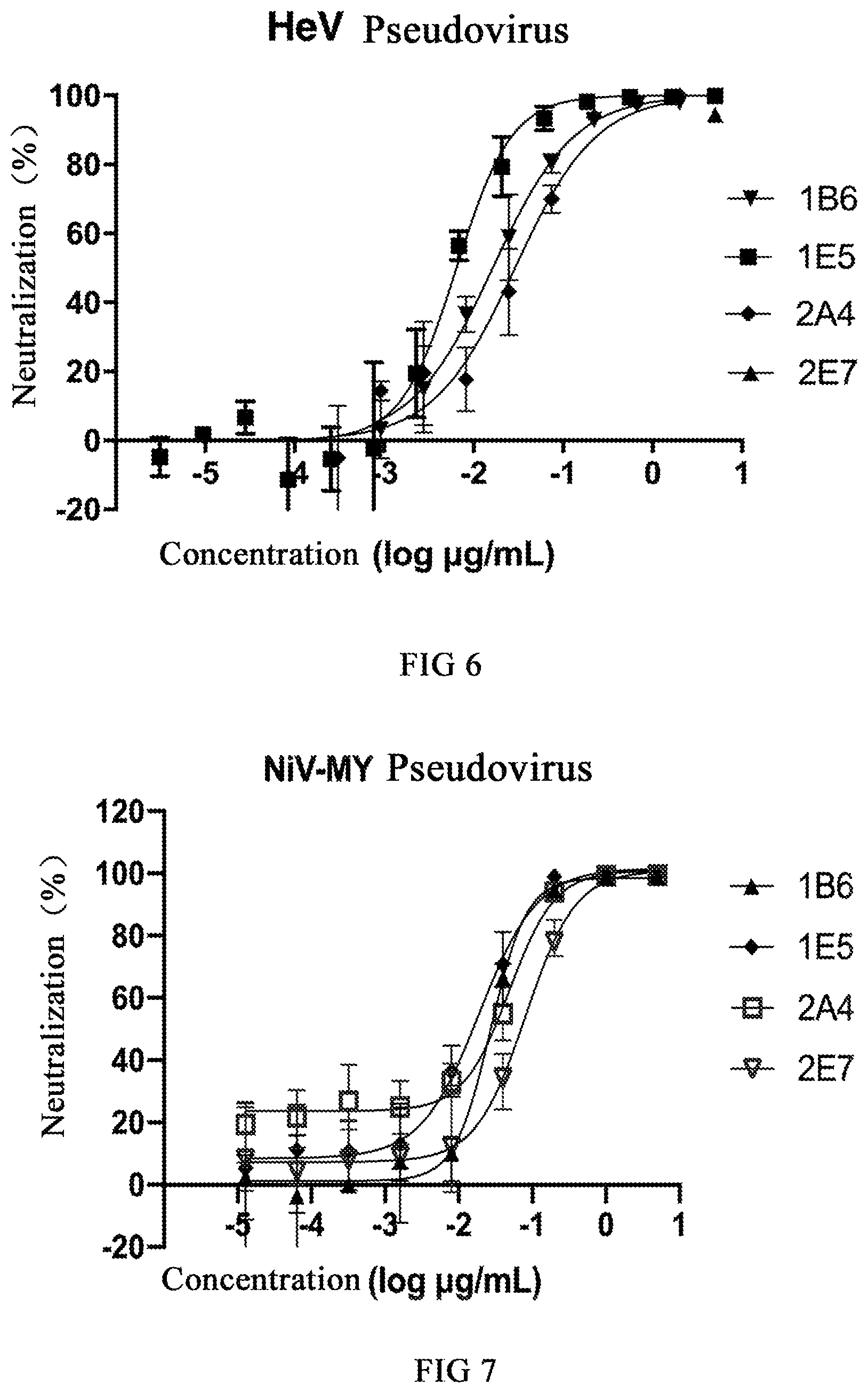 Patent US12590141 Figure 6 – Monoclonal antibodies against Henipavirus glycoprotein G and encoding nucleic acids thereof