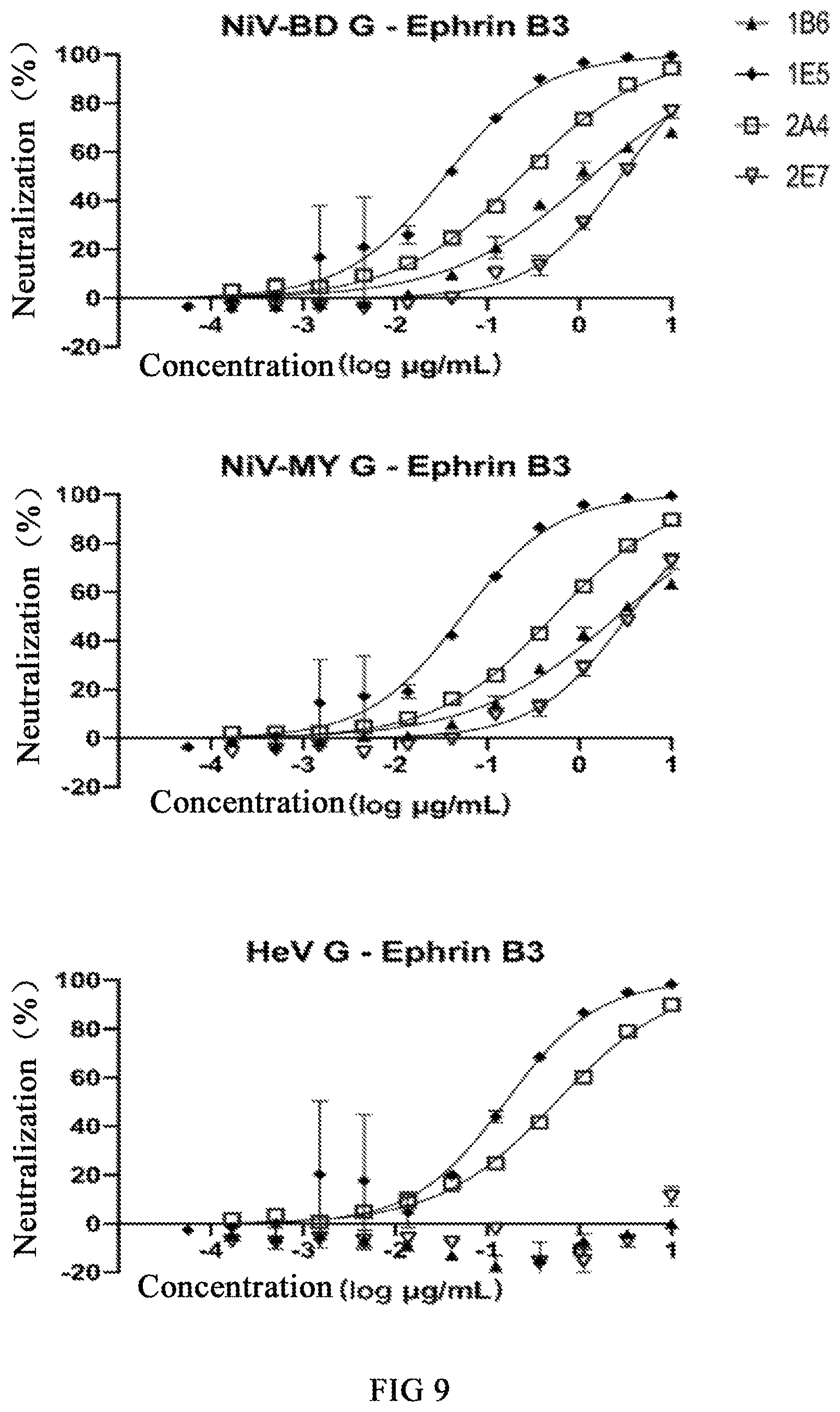 Patent US12590141 Figure 8 – Monoclonal antibodies against Henipavirus glycoprotein G and encoding nucleic acids thereof