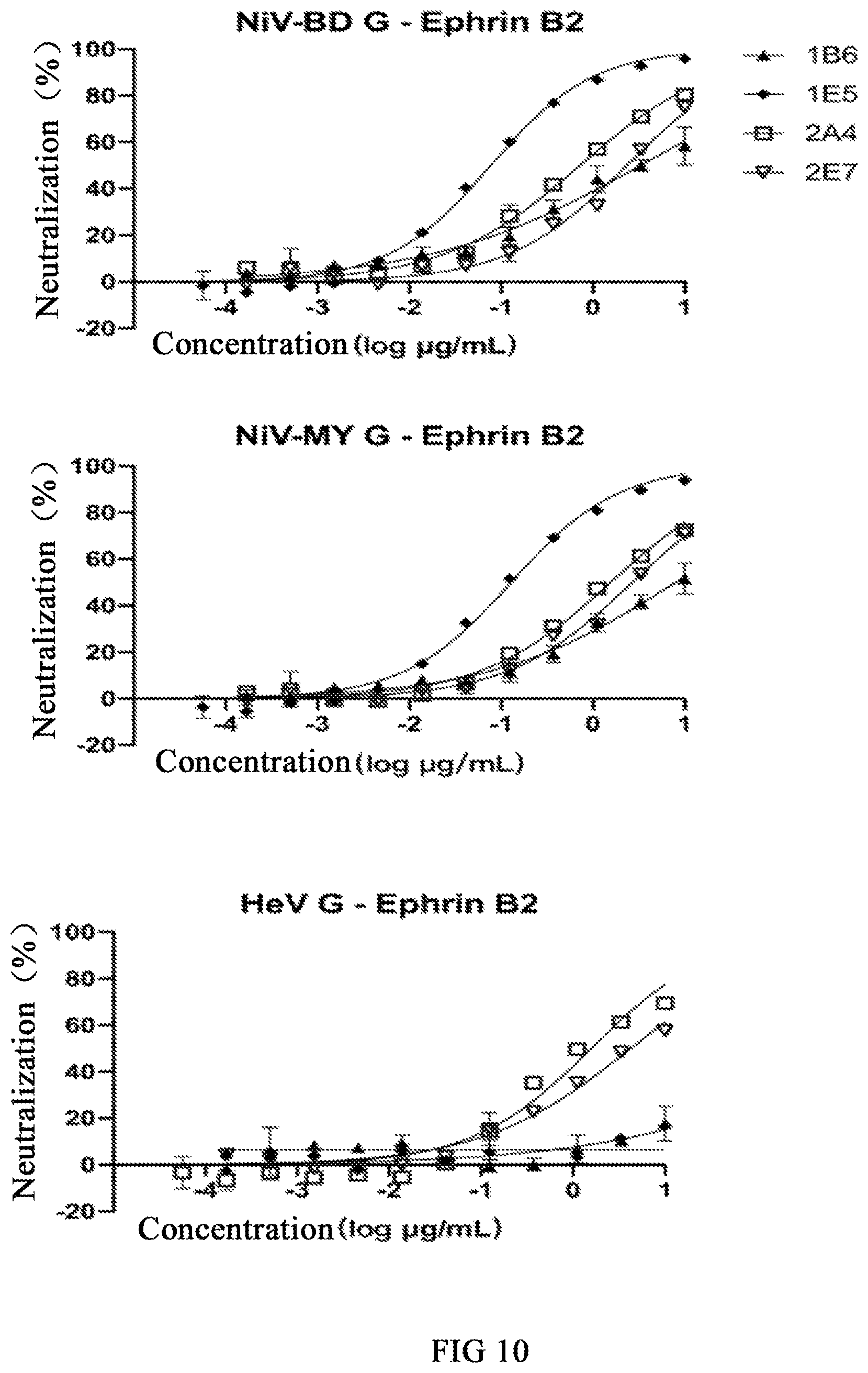 Patent US12590141 Figure 9 – Monoclonal antibodies against Henipavirus glycoprotein G and encoding nucleic acids thereof
