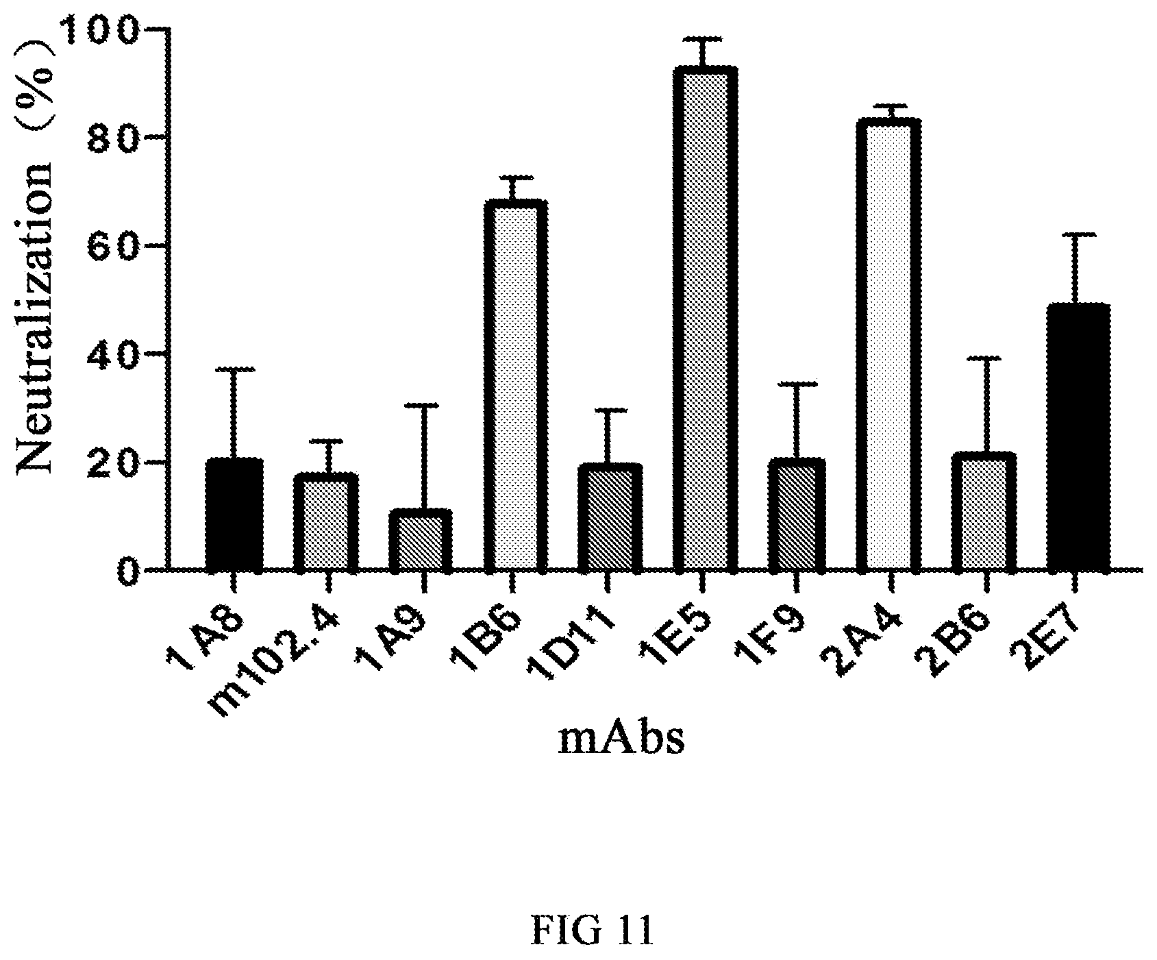 Patent US12590141 Figure 10 – Monoclonal antibodies against Henipavirus glycoprotein G and encoding nucleic acids thereof