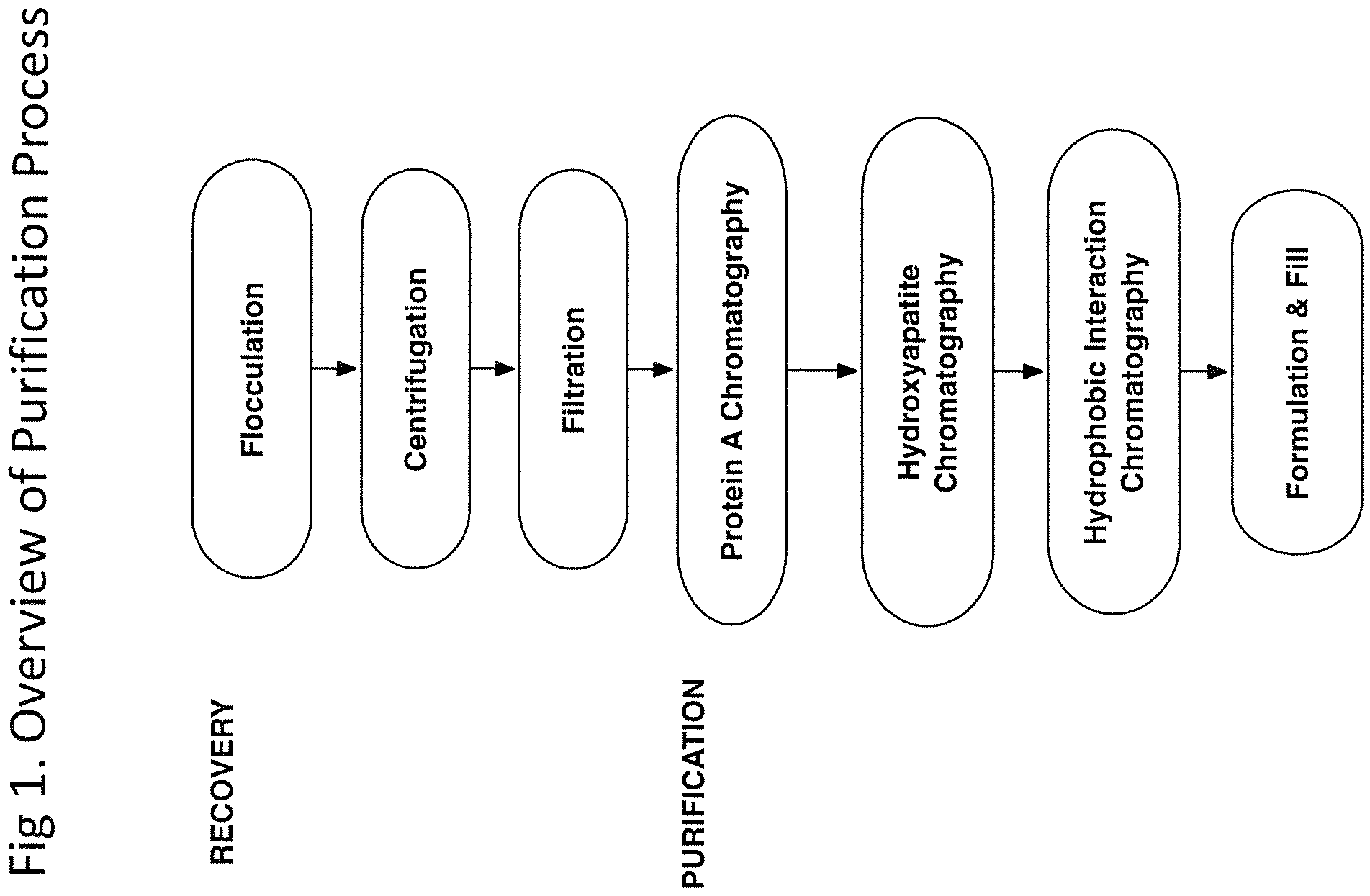 Patent US12590142 Figure 1 – Antibody purification and purity monitoring