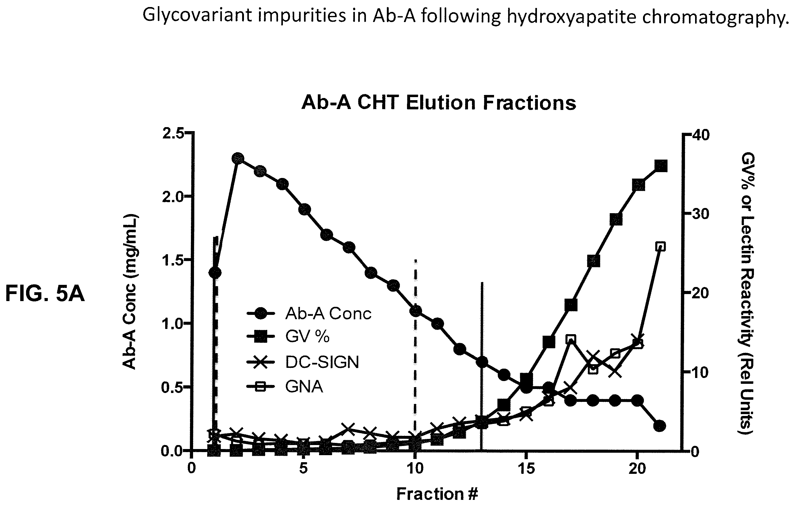 Patent US12590142 Figure 6 – Antibody purification and purity monitoring