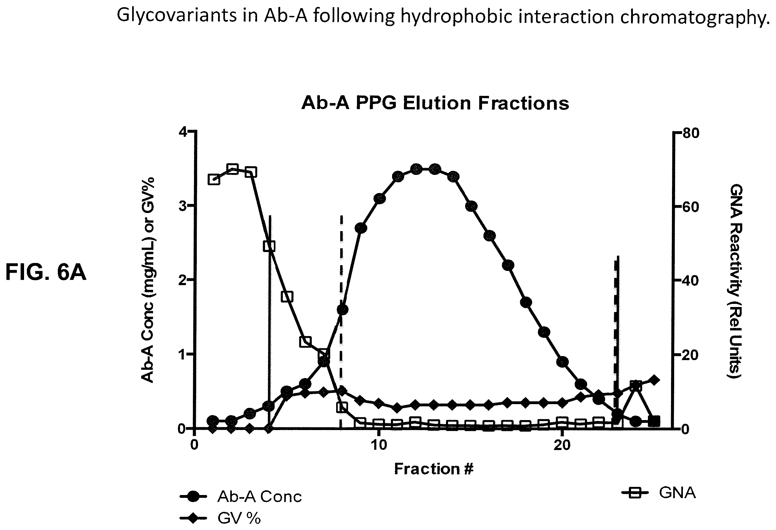 Patent US12590142 Figure 8 – Antibody purification and purity monitoring