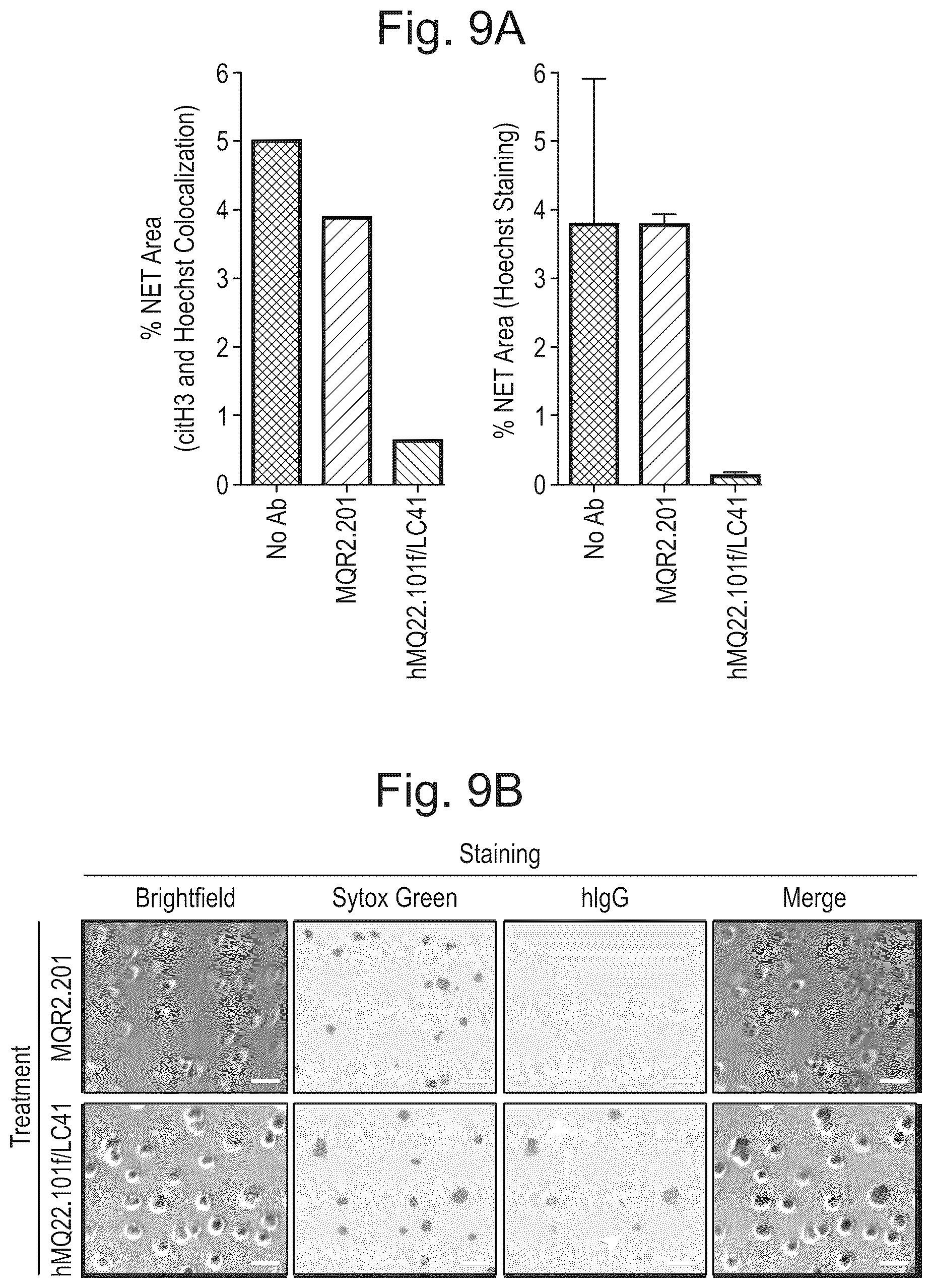 Patent US12590143 Figure 9 – Antibodies binding to citrullinated histone 2A and/or 4