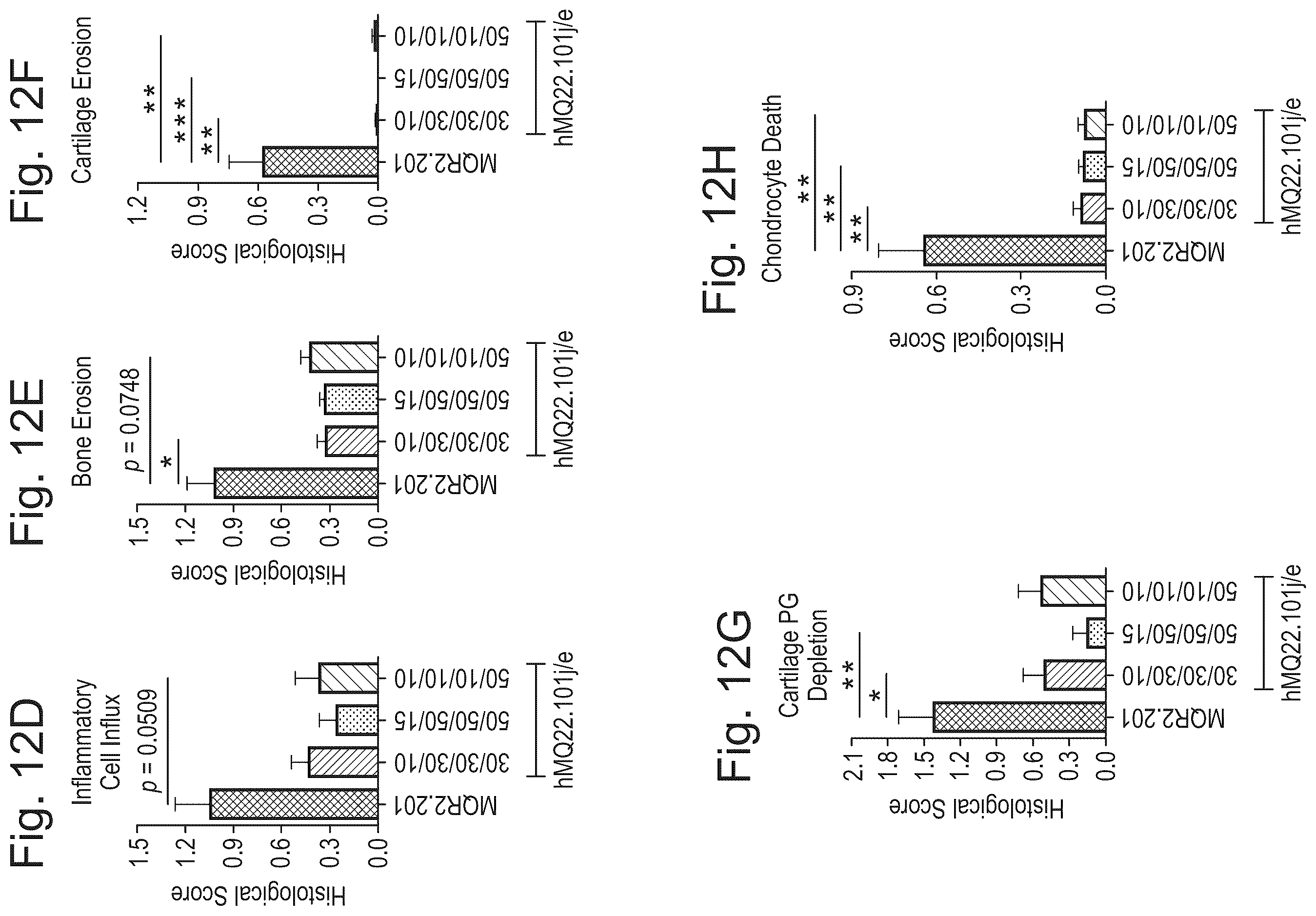 Patent US12590143 Figure 13 – Antibodies binding to citrullinated histone 2A and/or 4