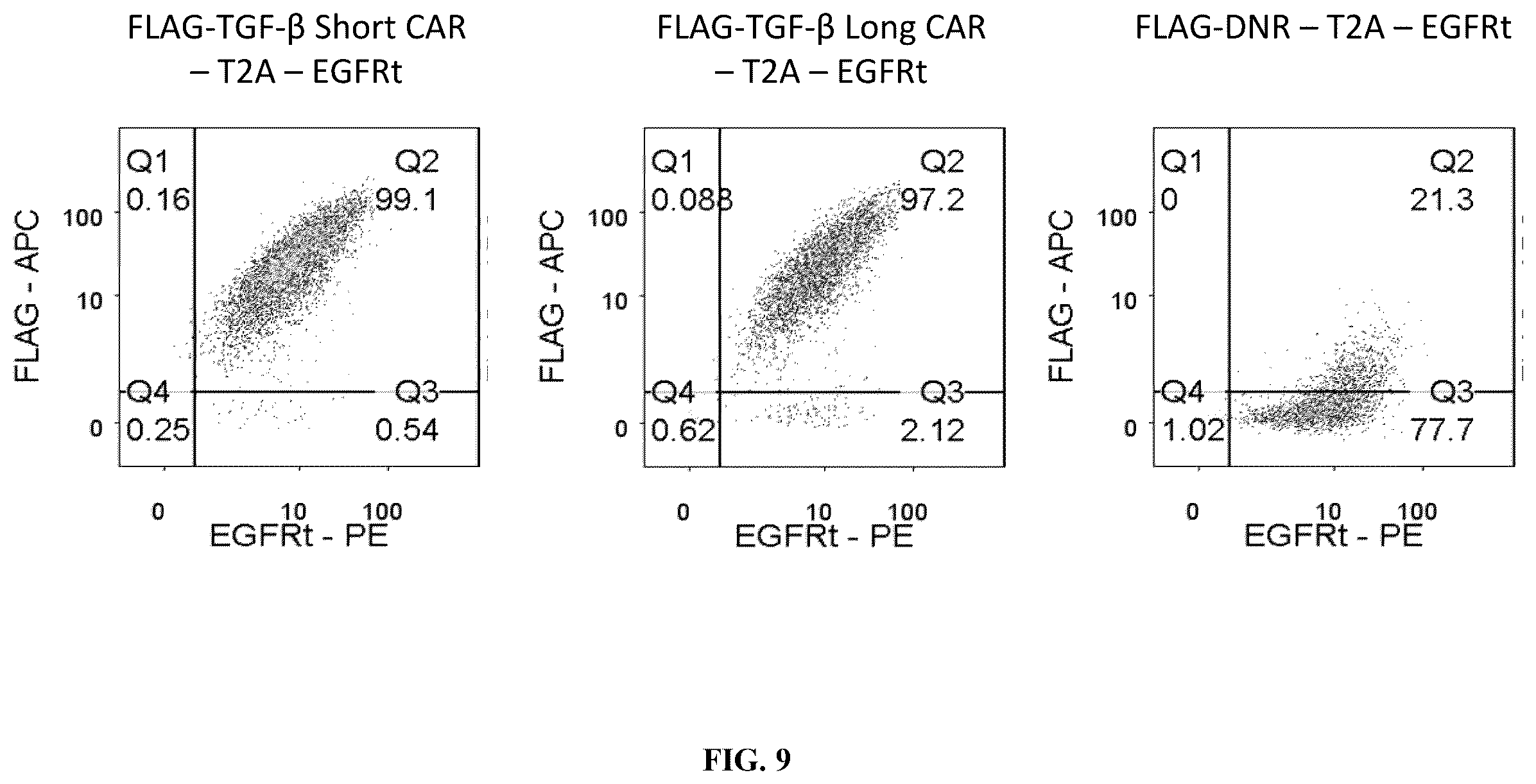 Patent US12590145 Figure 9 – Bi-specific chimeric antigen receptor