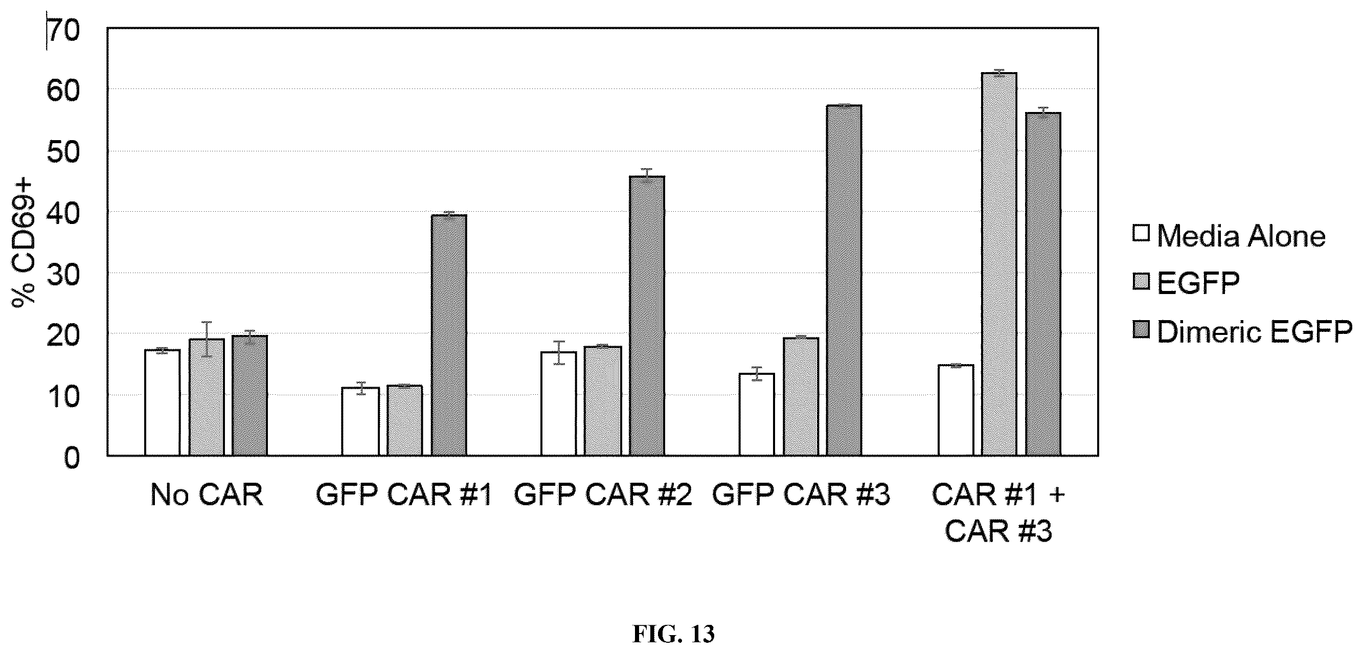 Patent US12590145 Figure 13 – Bi-specific chimeric antigen receptor