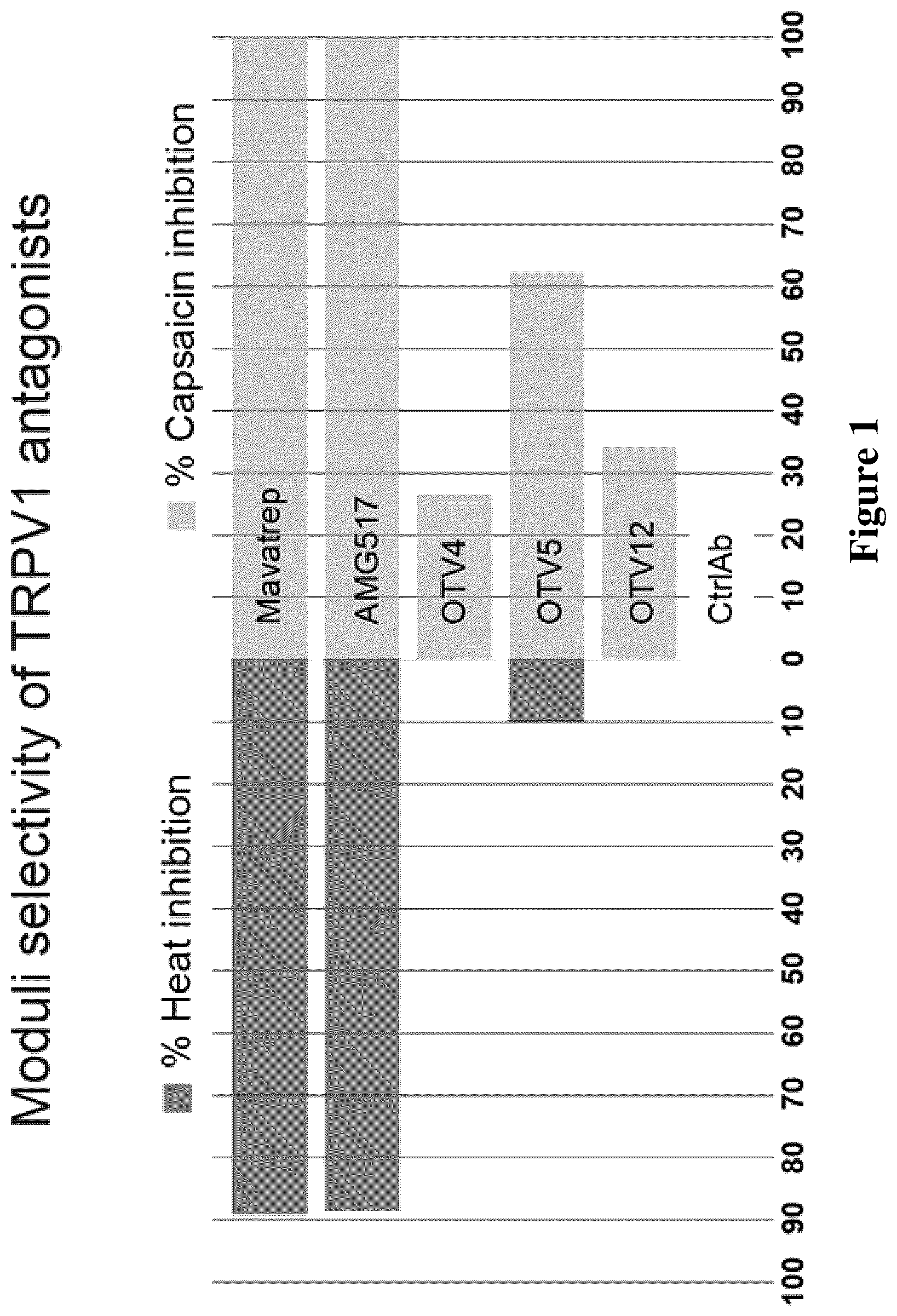 Patent US12590147 Figure 1 – TRPV1 epitopes and antibodies