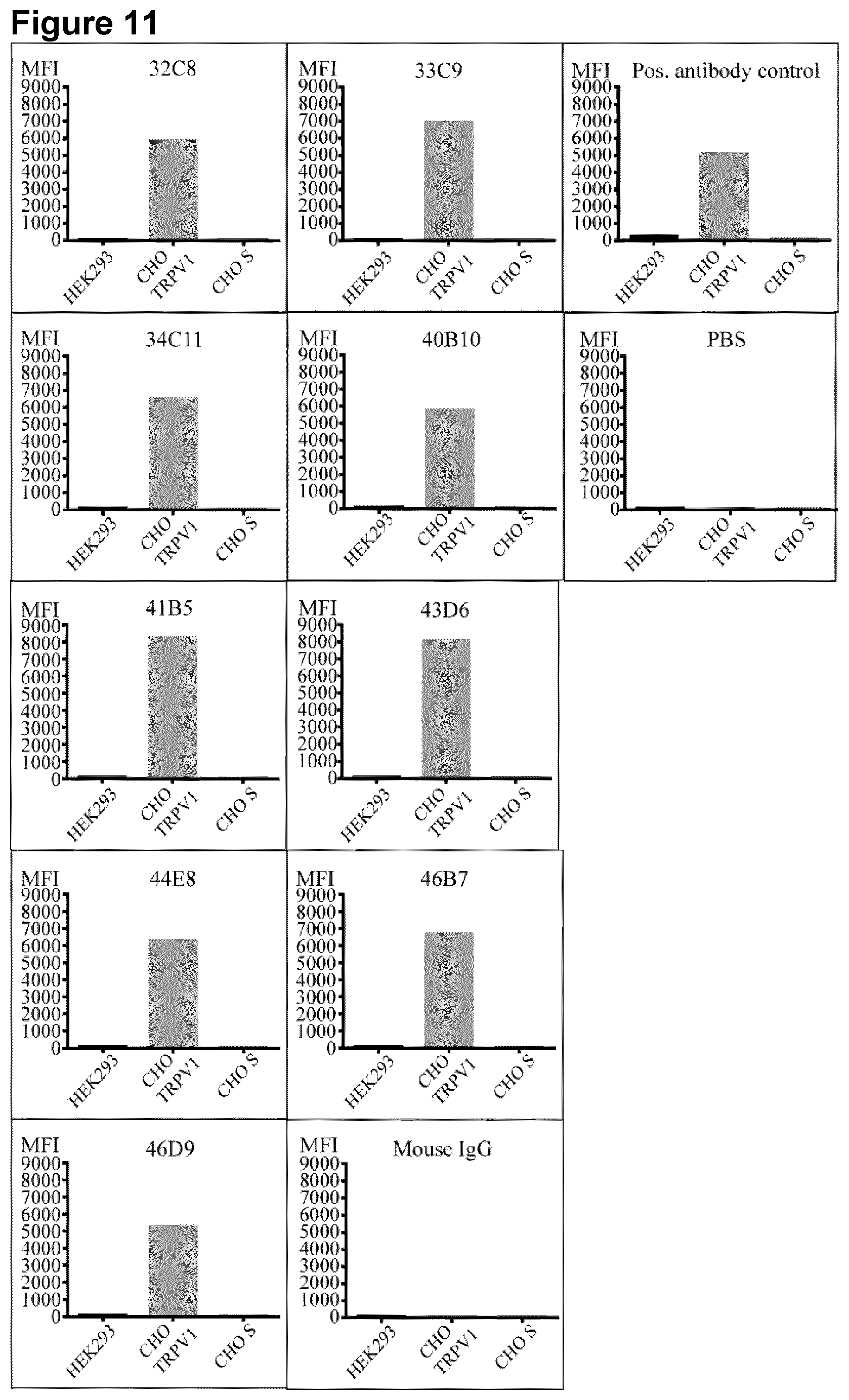 Patent US12590147 Figure 11 – TRPV1 epitopes and antibodies