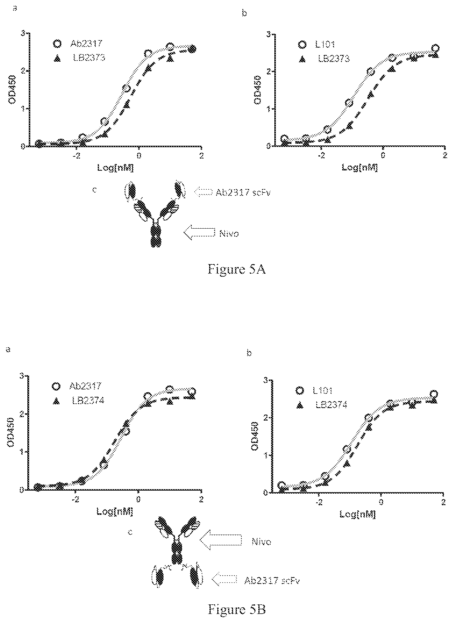 Patent US12590149 Figure 4 – Antibody and bispecific antibody targeting LAG-3 and use thereof