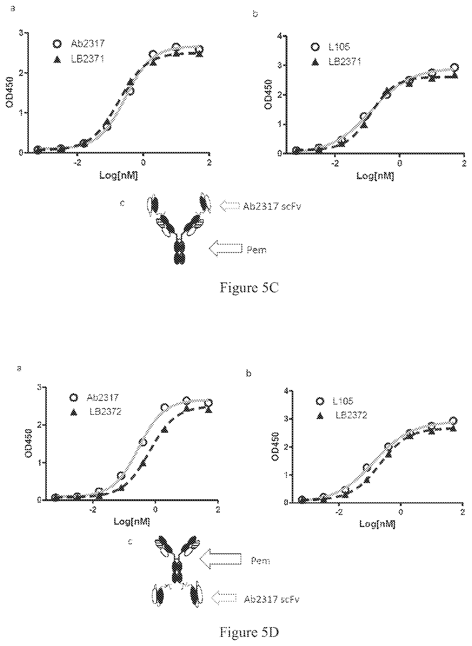 Patent US12590149 Figure 5 – Antibody and bispecific antibody targeting LAG-3 and use thereof