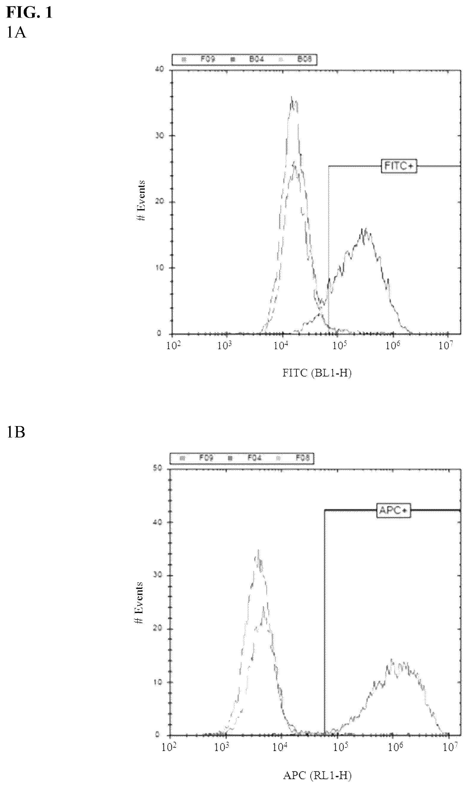 Patent US12590150 Figure 1 – Antibody against Nectin-4 and application thereof