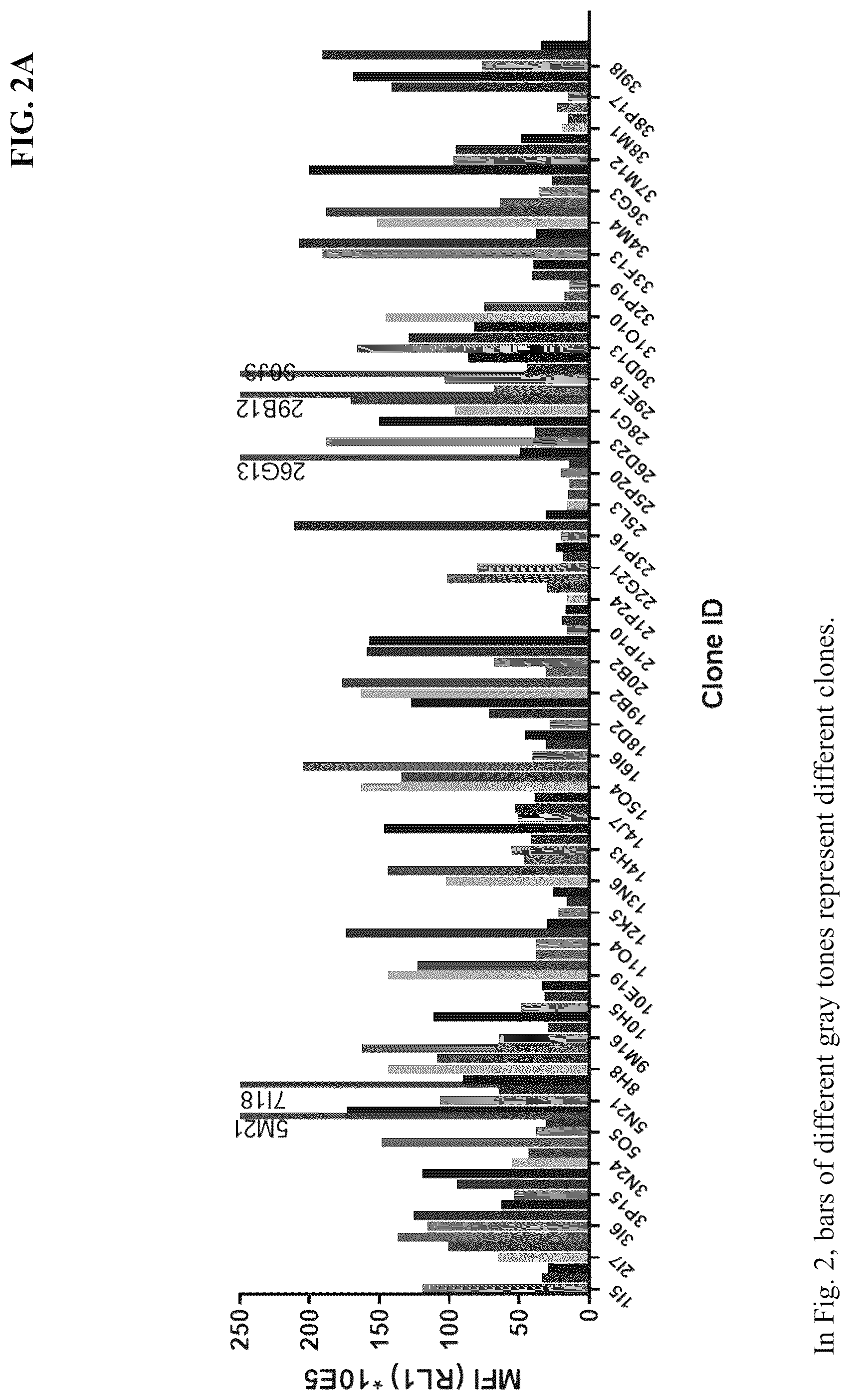 Patent US12590150 Figure 2 – Antibody against Nectin-4 and application thereof
