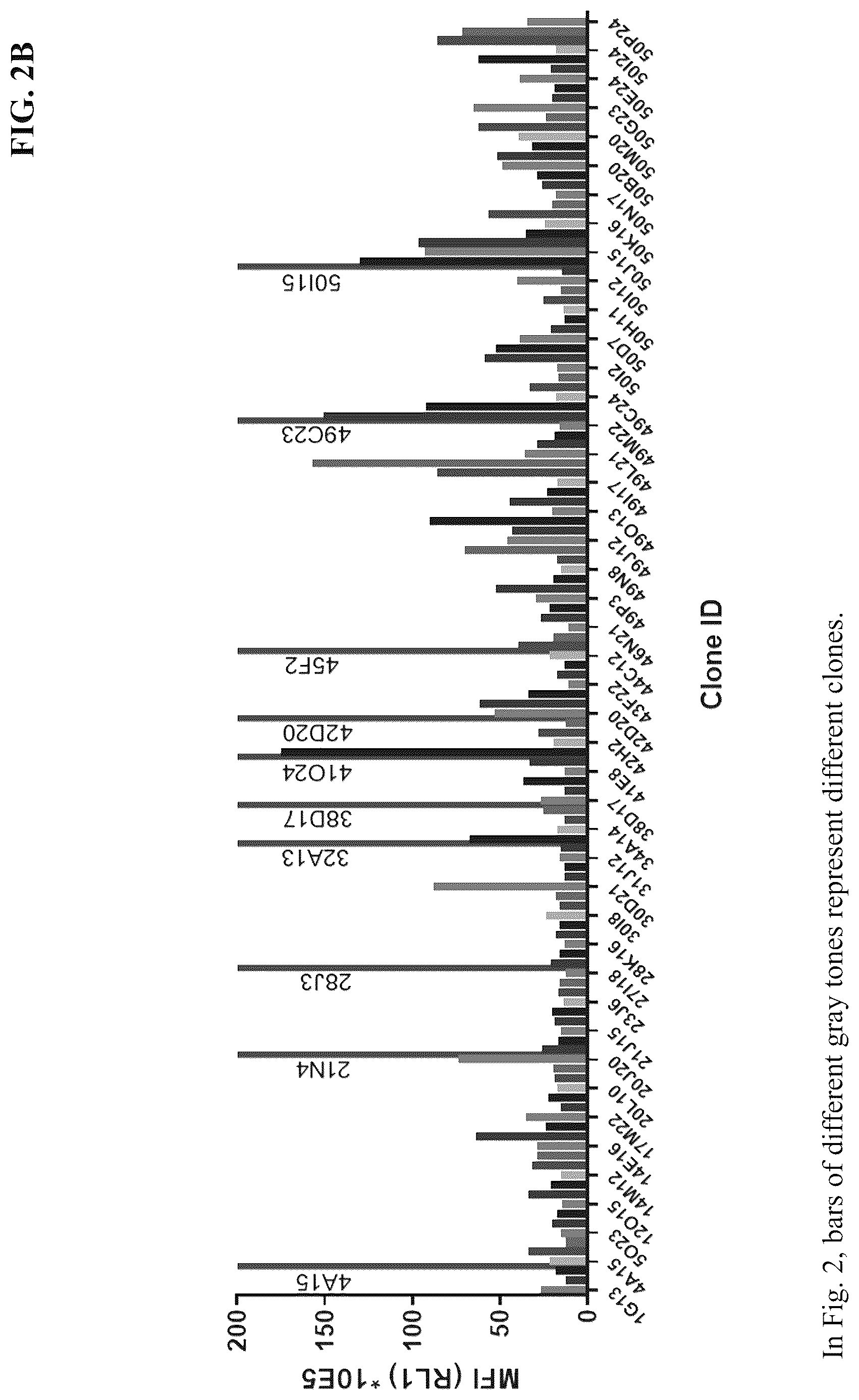 Patent US12590150 Figure 3 – Antibody against Nectin-4 and application thereof
