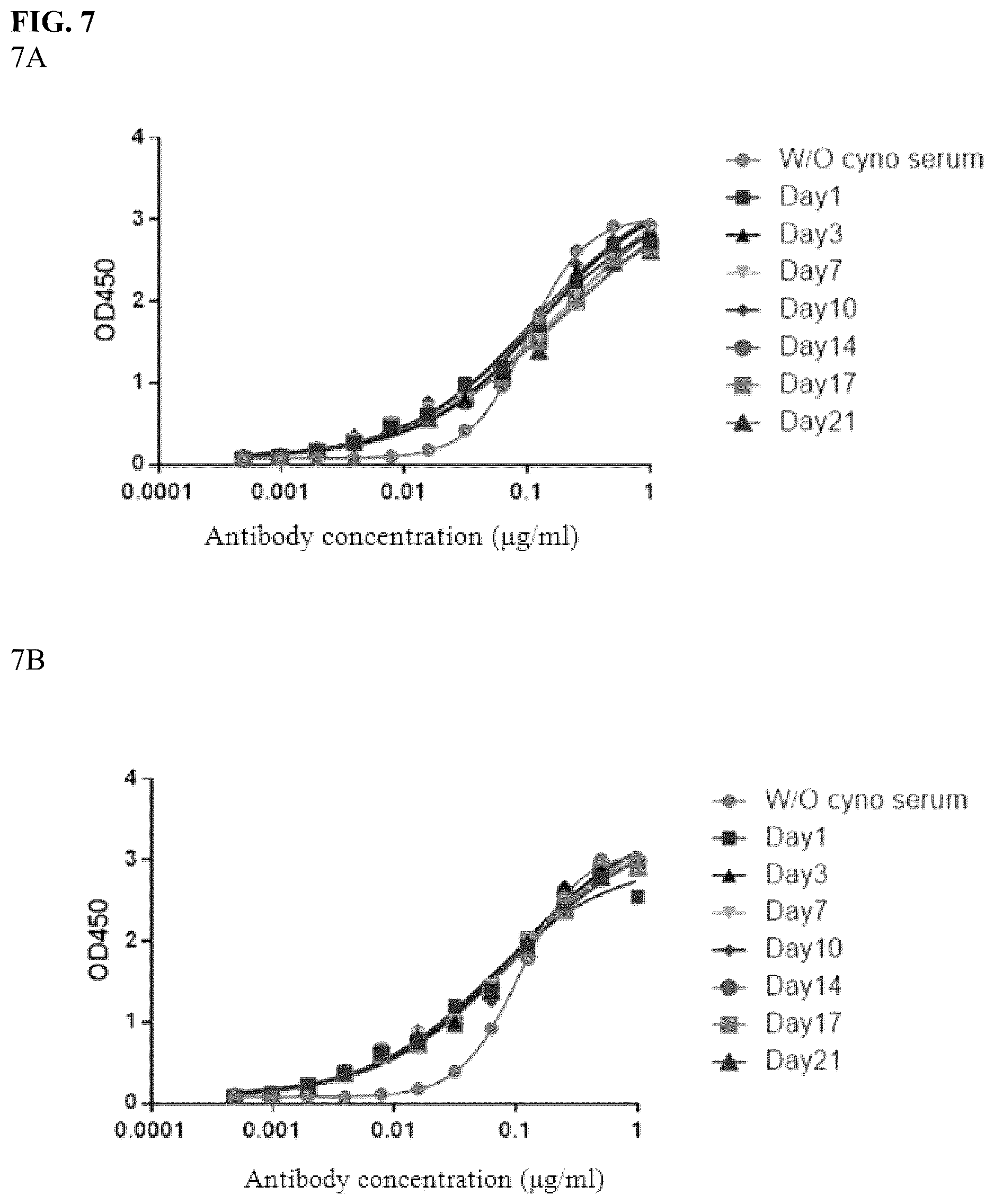 Patent US12590150 Figure 12 – Antibody against Nectin-4 and application thereof