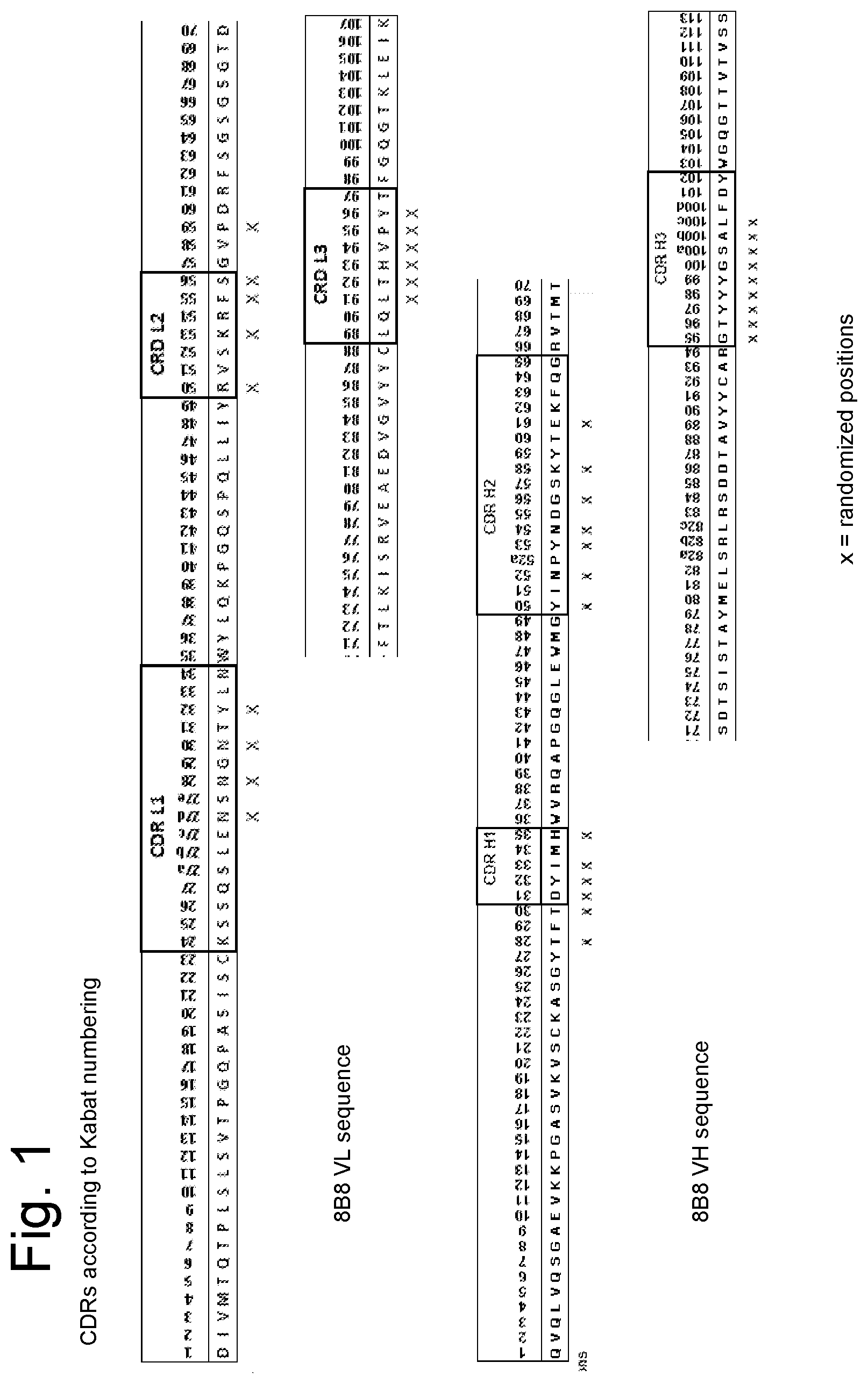 Patent US12590151 Figure 1 – Anti-human CD19 antibodies with high affinity