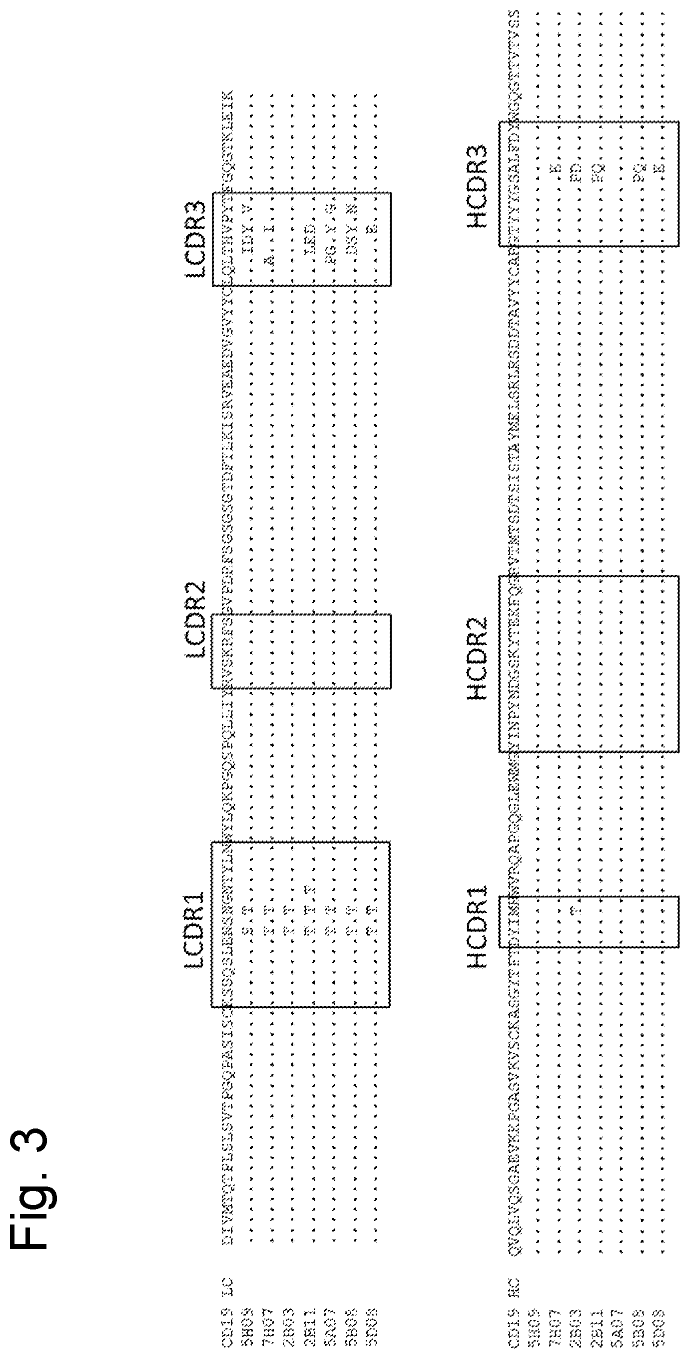 Patent US12590151 Figure 3 – Anti-human CD19 antibodies with high affinity