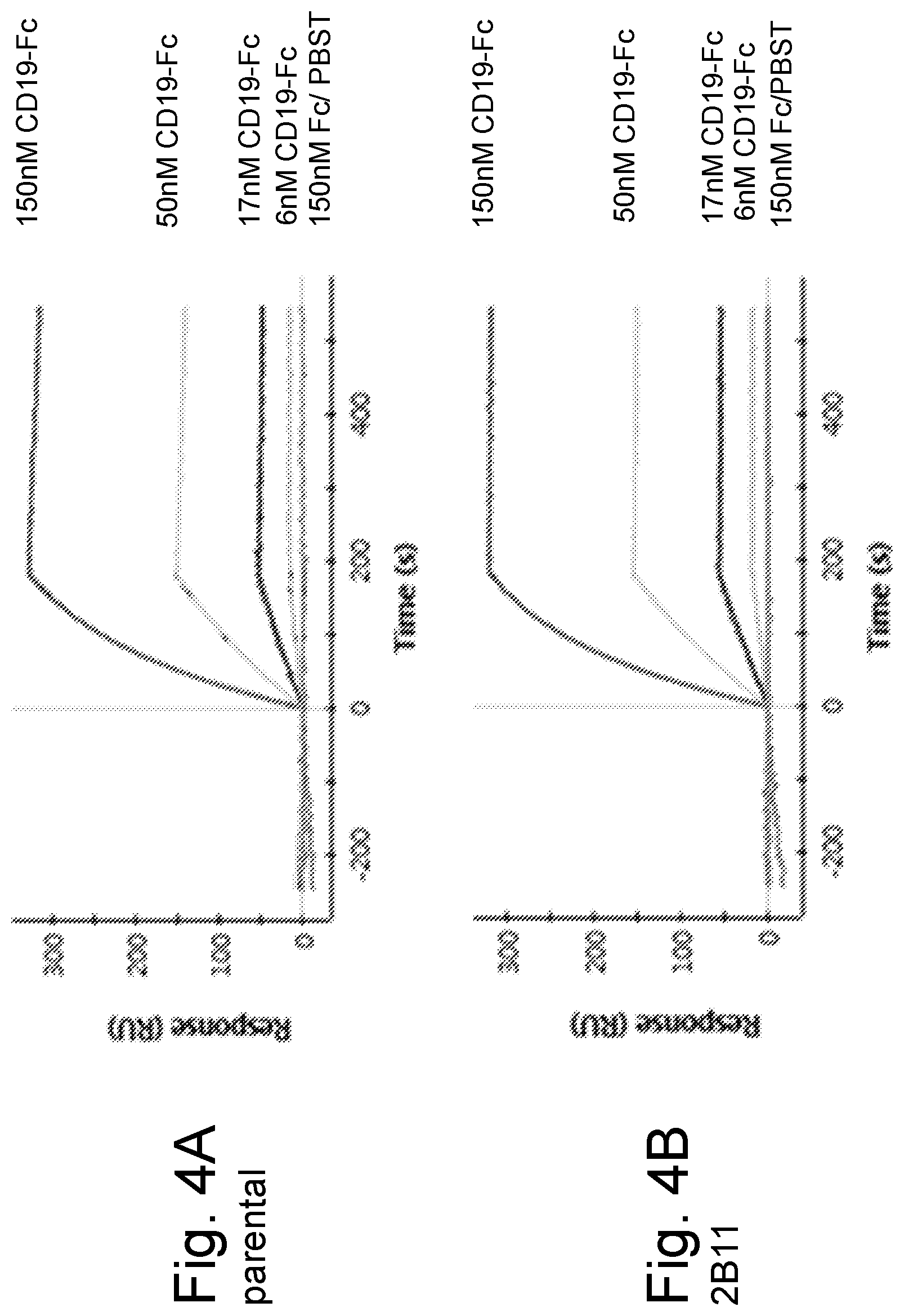Patent US12590151 Figure 4 – Anti-human CD19 antibodies with high affinity