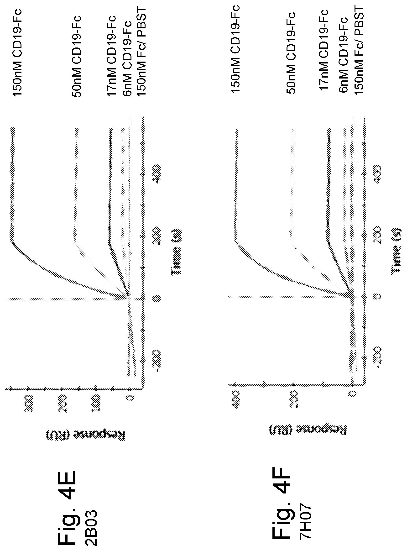 Patent US12590151 Figure 6 – Anti-human CD19 antibodies with high affinity