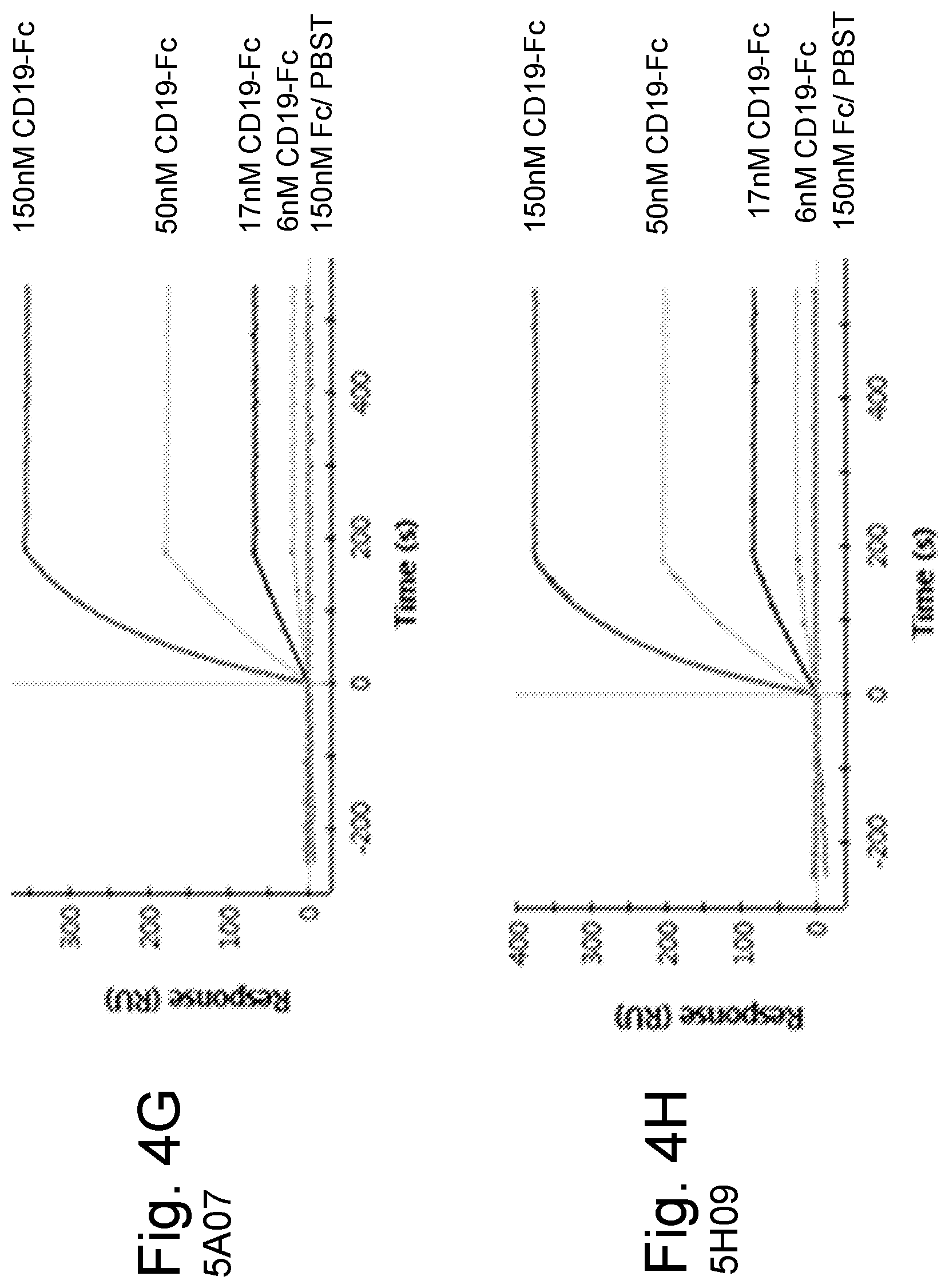 Patent US12590151 Figure 7 – Anti-human CD19 antibodies with high affinity