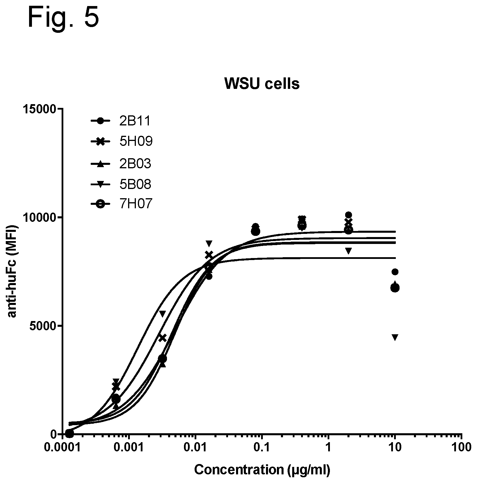 Patent US12590151 Figure 8 – Anti-human CD19 antibodies with high affinity