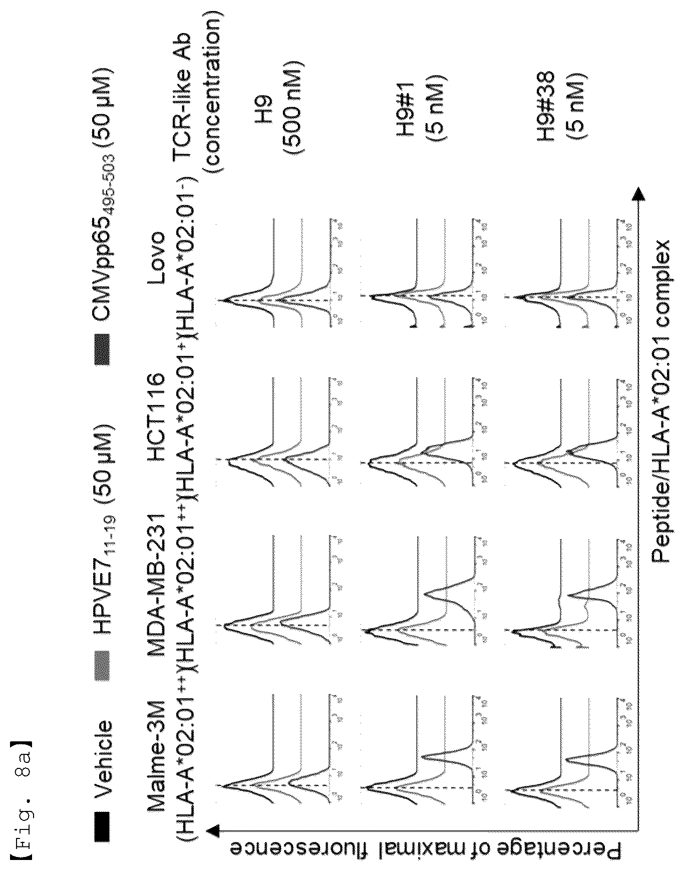Patent US12590156 Figure 12 – Fusion antibody for presenting antigen-derived T cell antigen epitope or peptide containing same on cell surface, and composition comprising same