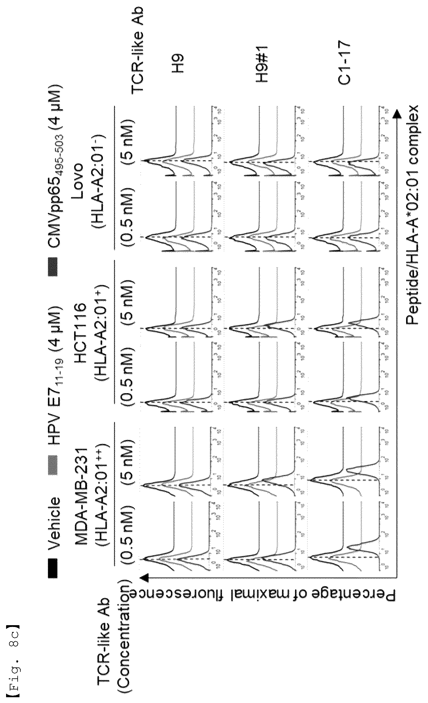 Patent US12590156 Figure 14 – Fusion antibody for presenting antigen-derived T cell antigen epitope or peptide containing same on cell surface, and composition comprising same
