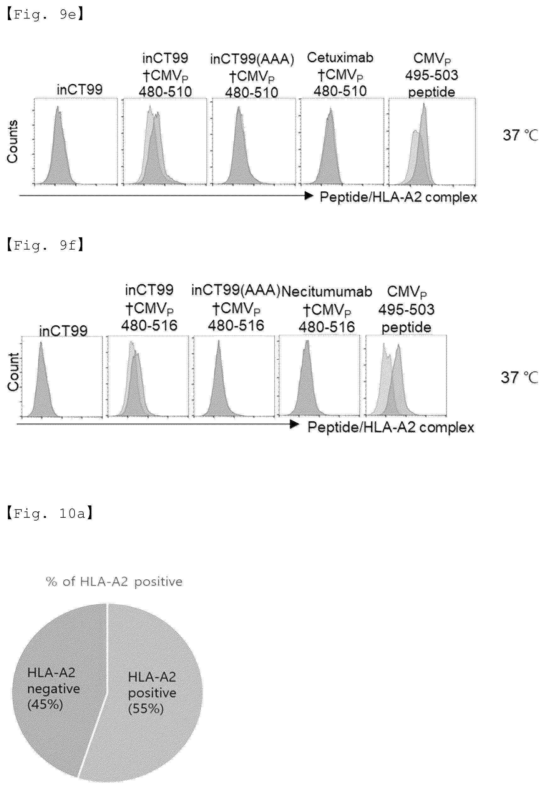 Patent US12590156 Figure 18 – Fusion antibody for presenting antigen-derived T cell antigen epitope or peptide containing same on cell surface, and composition comprising same