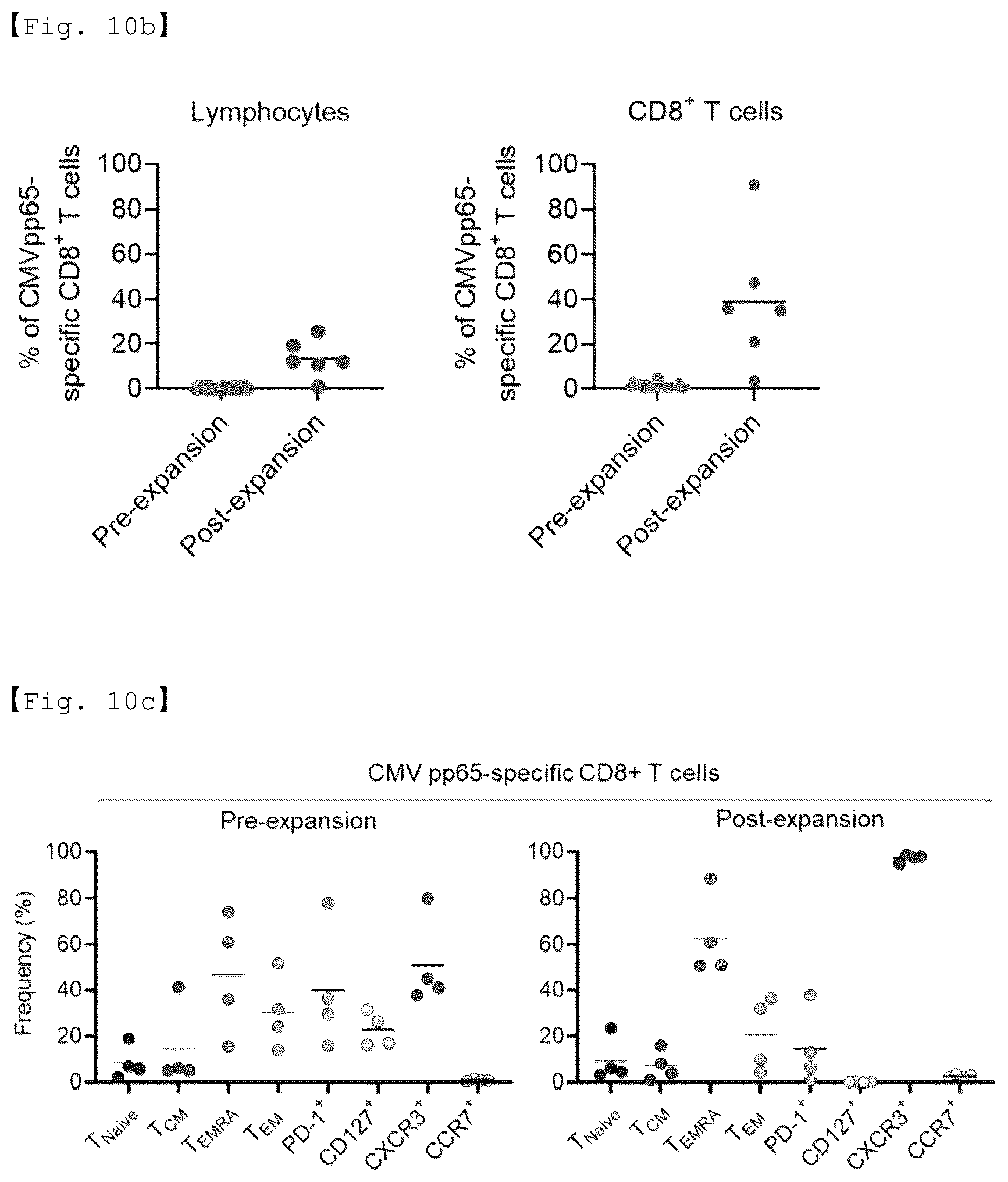 Patent US12590156 Figure 19 – Fusion antibody for presenting antigen-derived T cell antigen epitope or peptide containing same on cell surface, and composition comprising same