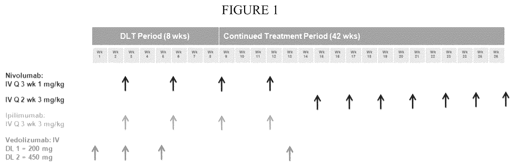 Patent US12590157 — Methods of treating gastrointestinal immune-related adverse events in immune oncology treatments — Figure 1