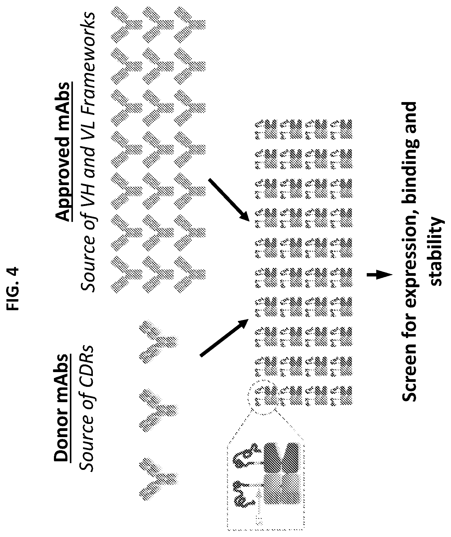 Patent US12590159 Figure 4 – Compositions targeting epidermal growth factor receptor and methods for making and using the same