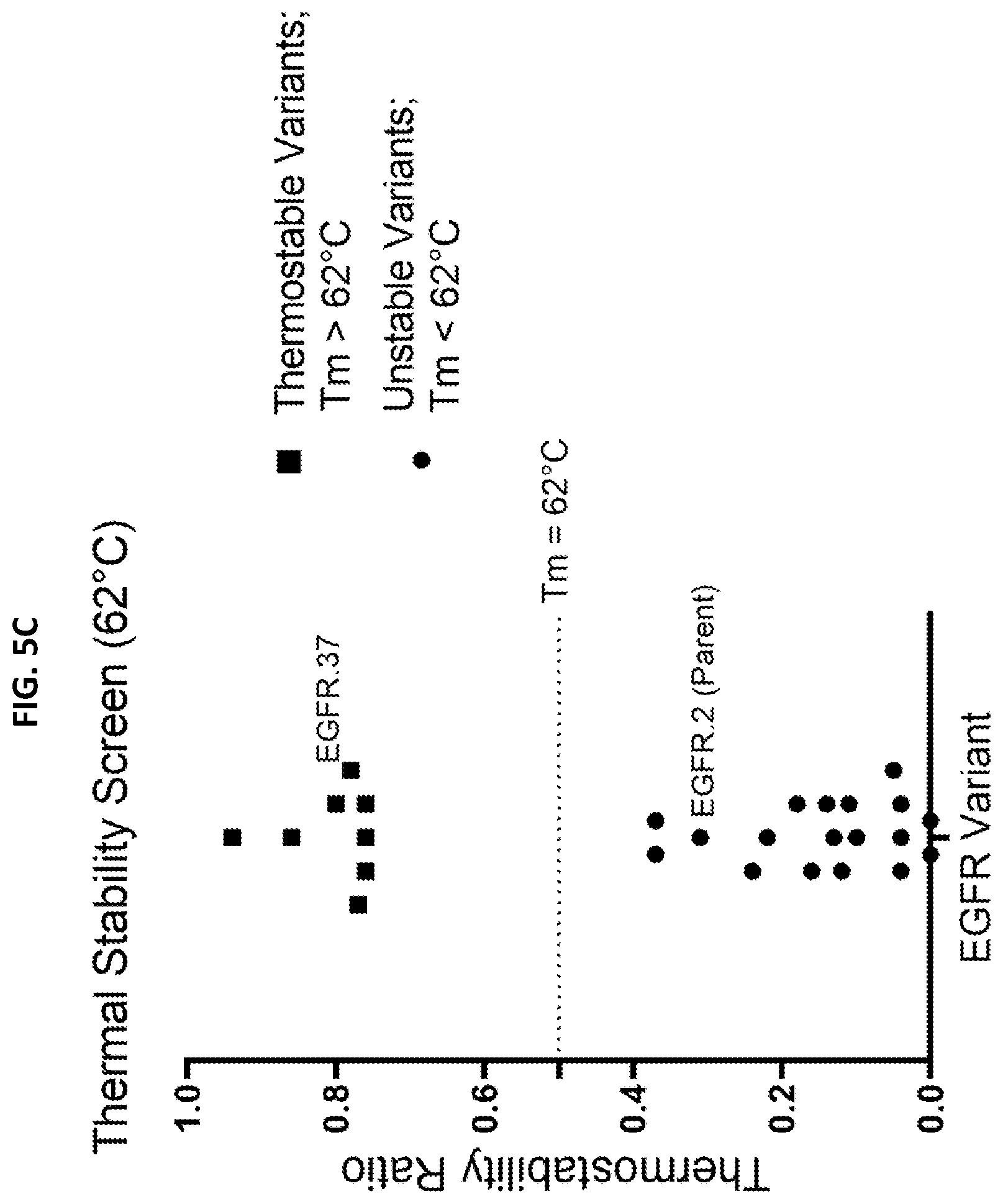 Patent US12590159 Figure 6 – Compositions targeting epidermal growth factor receptor and methods for making and using the same