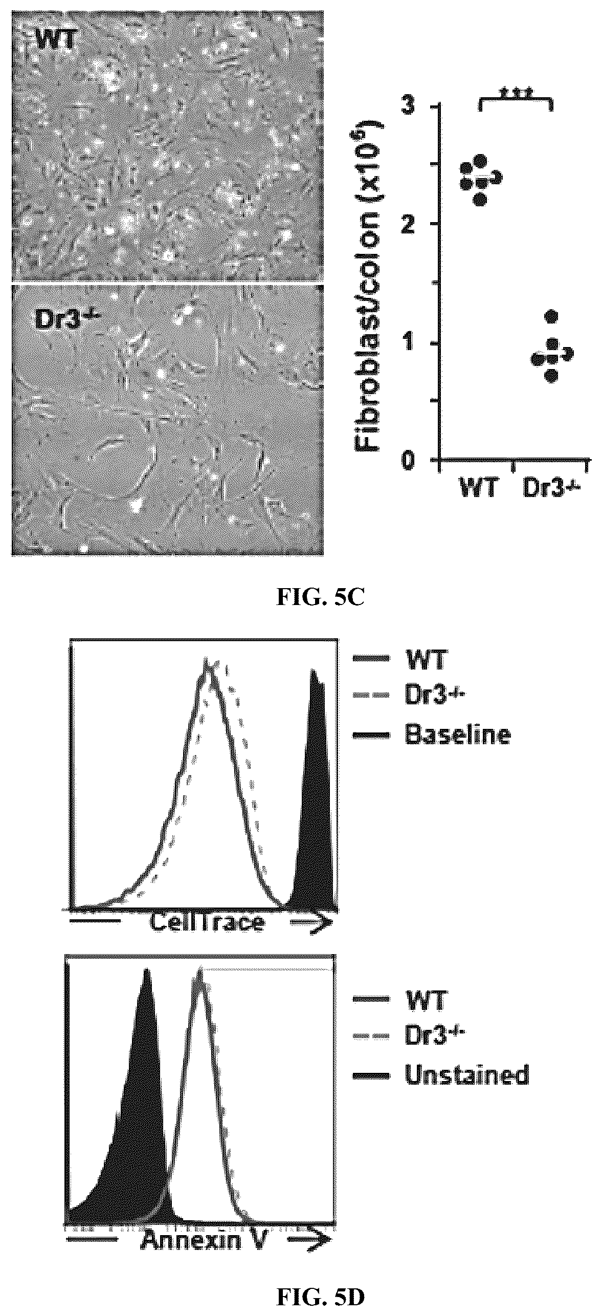 Patent US12590160 Figure 13 – Mitigation and reversal of intestinal fibrosis and inflammation by inhibition of TL1A function