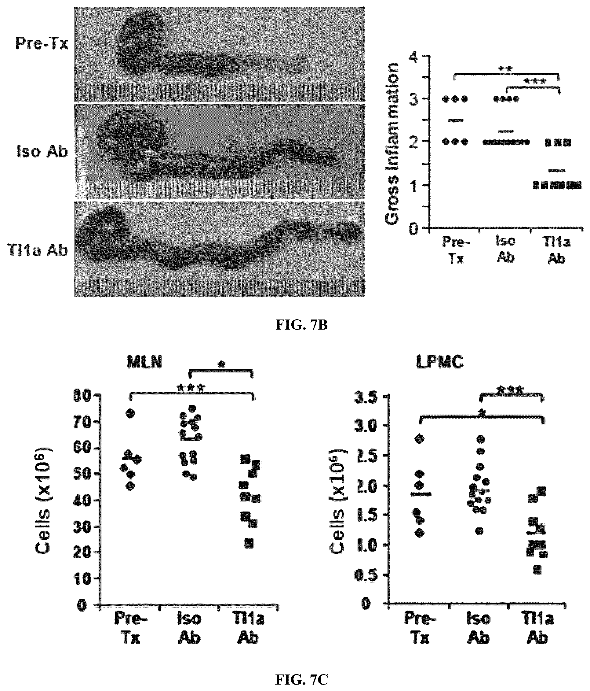Patent US12590160 Figure 17 – Mitigation and reversal of intestinal fibrosis and inflammation by inhibition of TL1A function